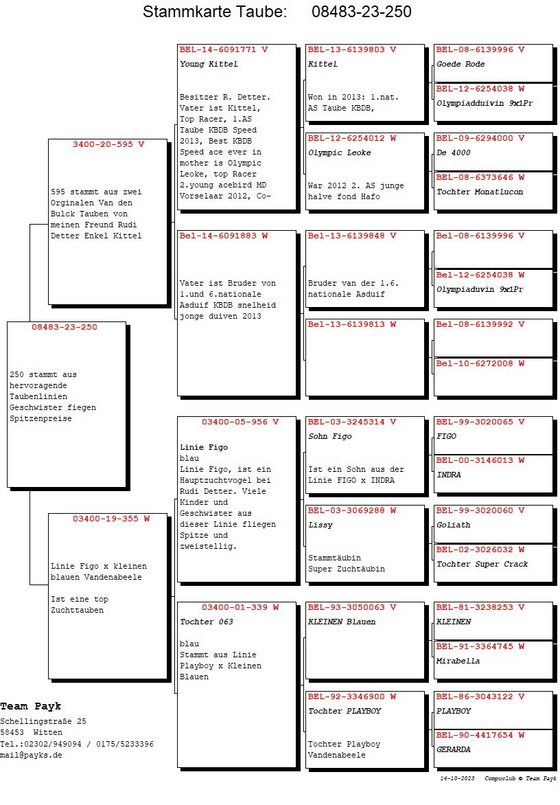 Pigeon pedigree image
