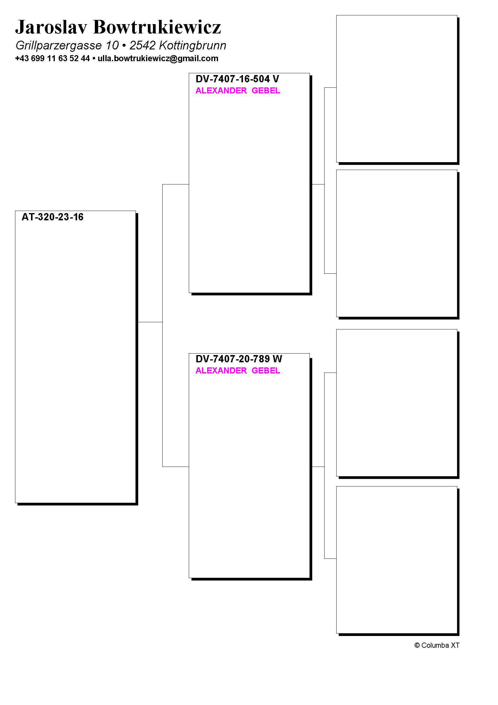 Pigeon pedigree image