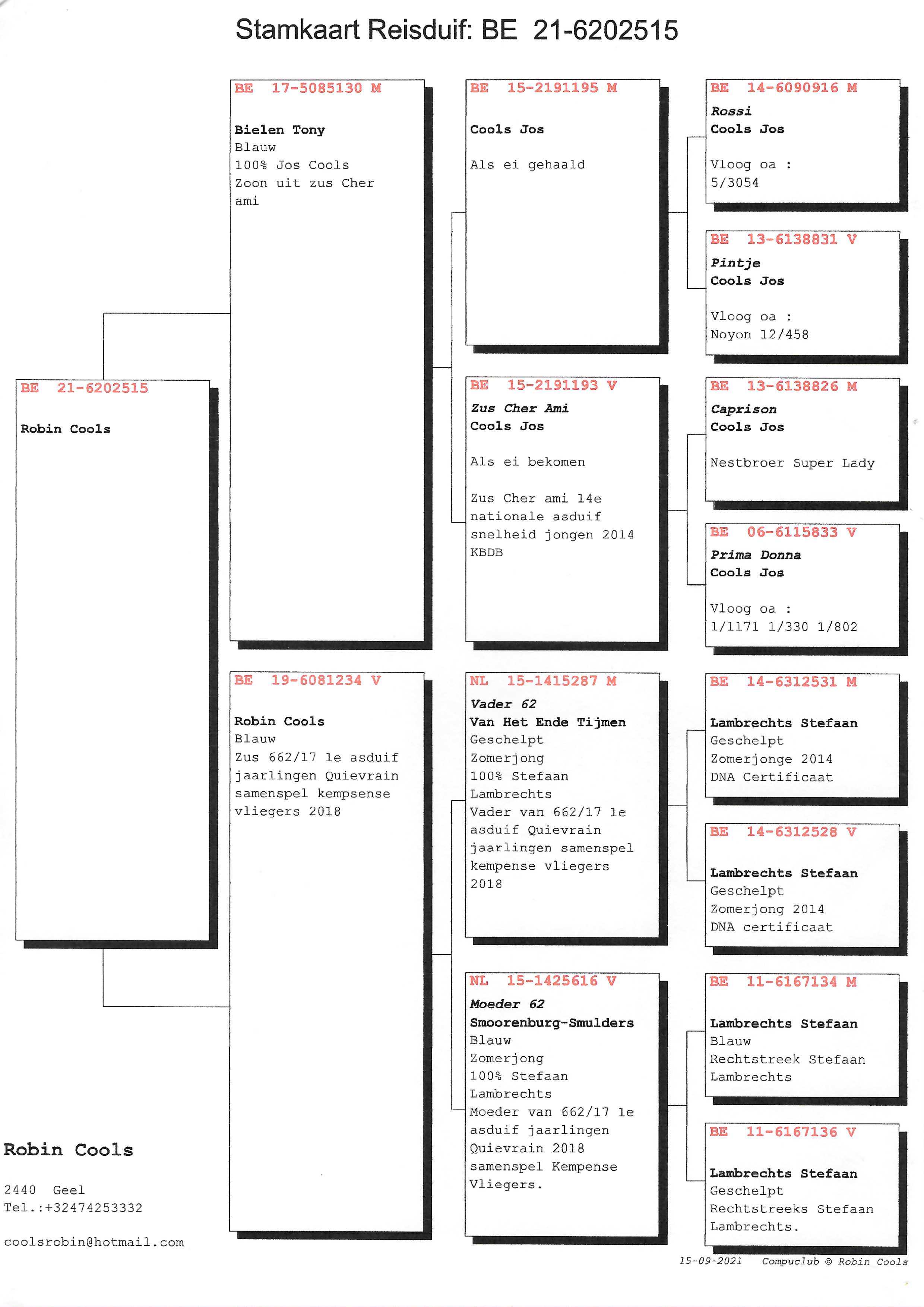 Pigeon pedigree image