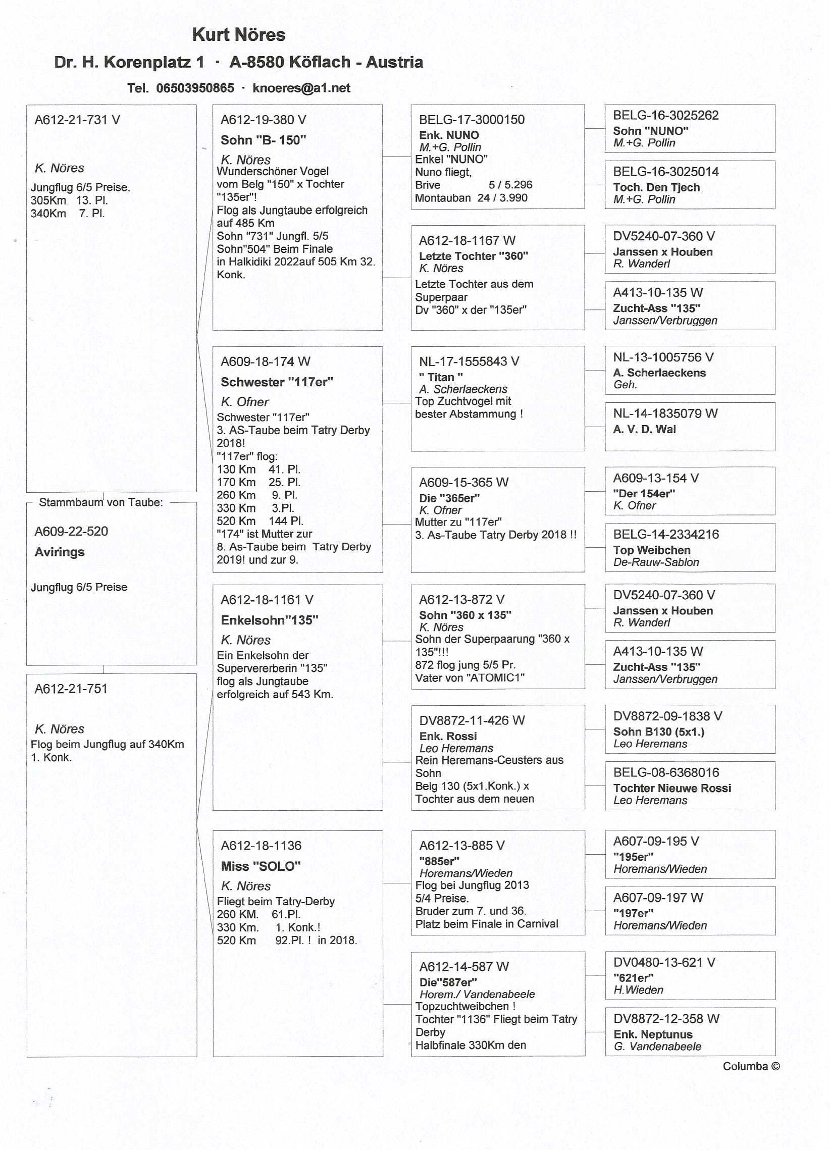 Pigeon pedigree image