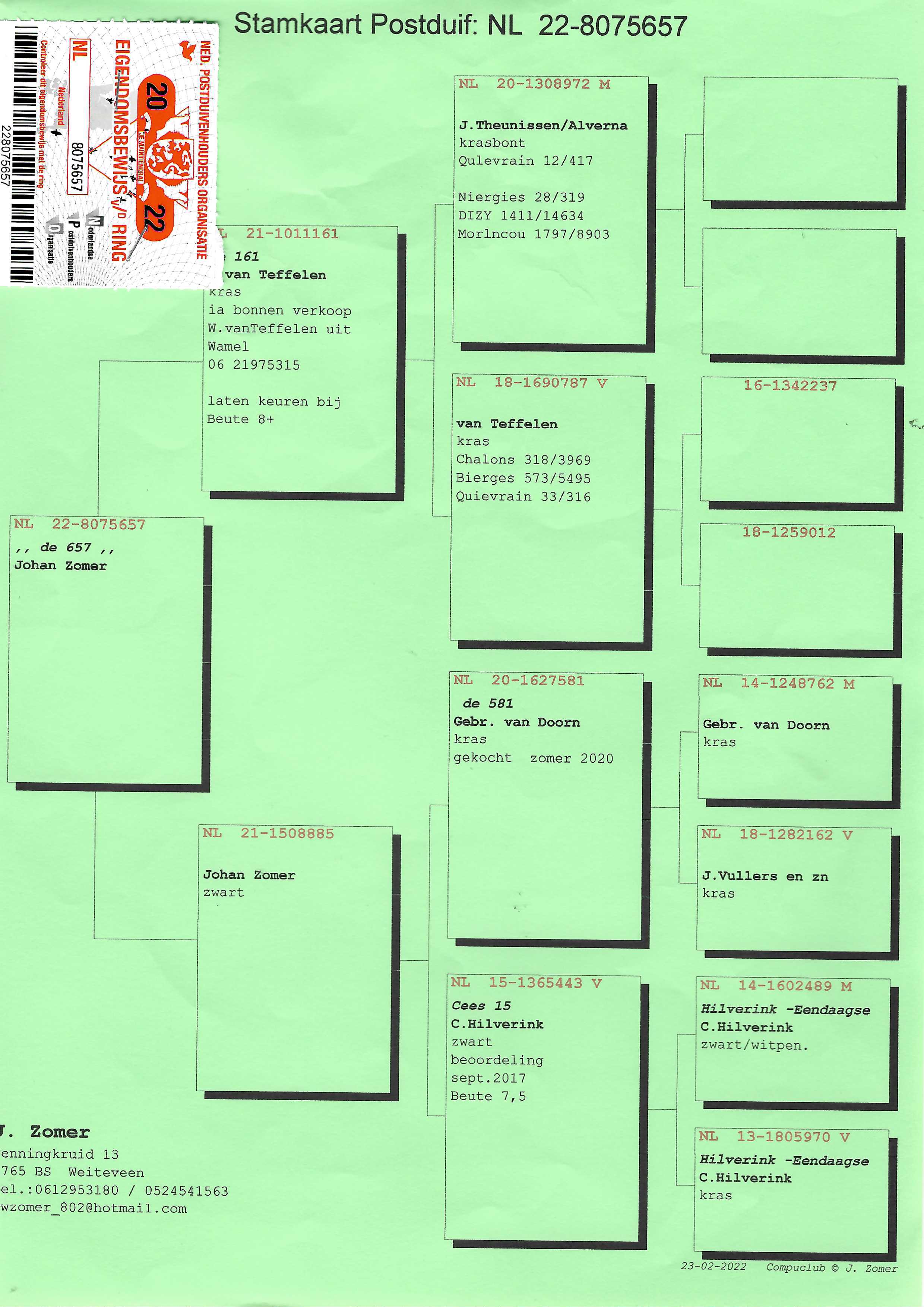 Pigeon pedigree image