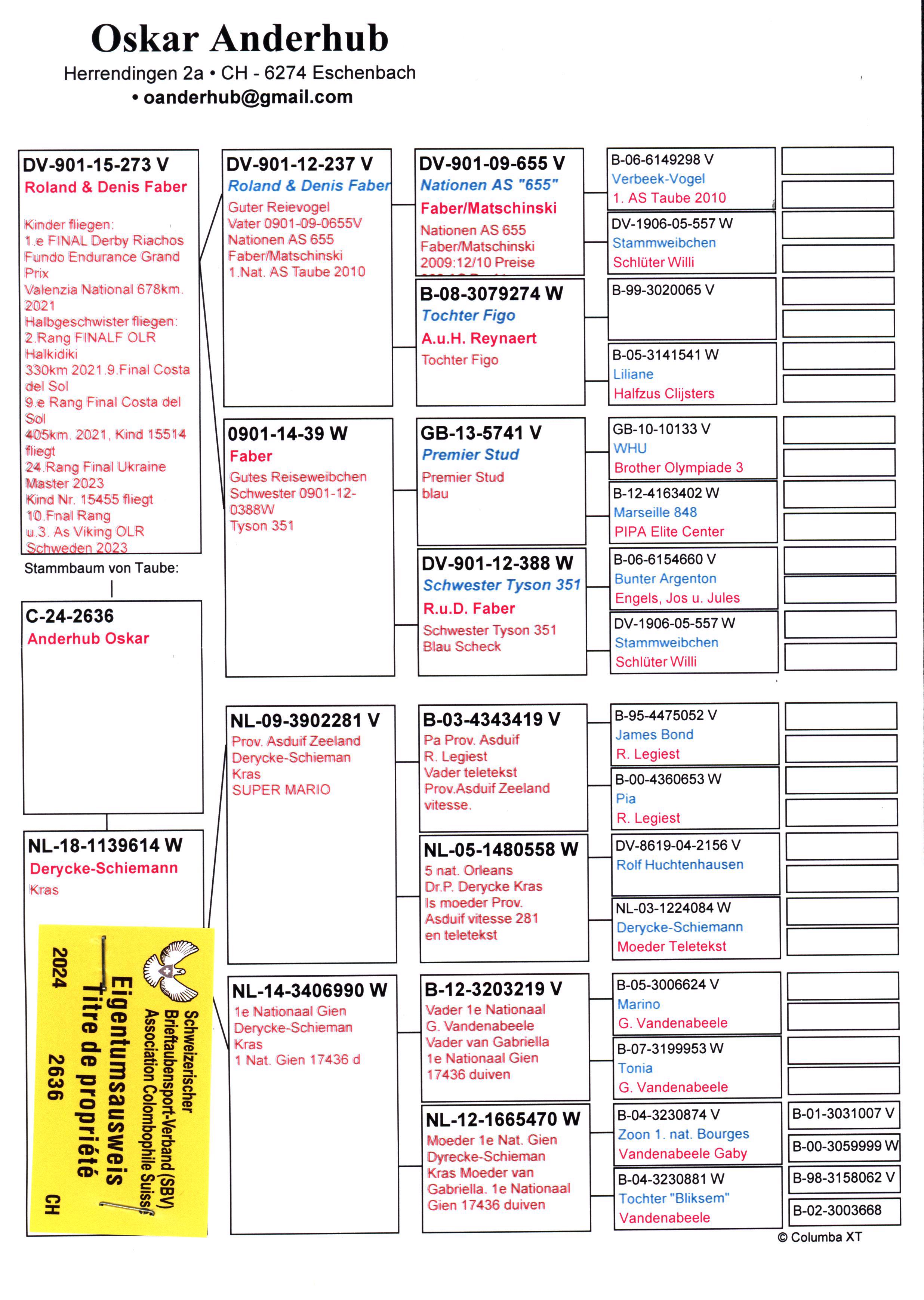 Pigeon pedigree image