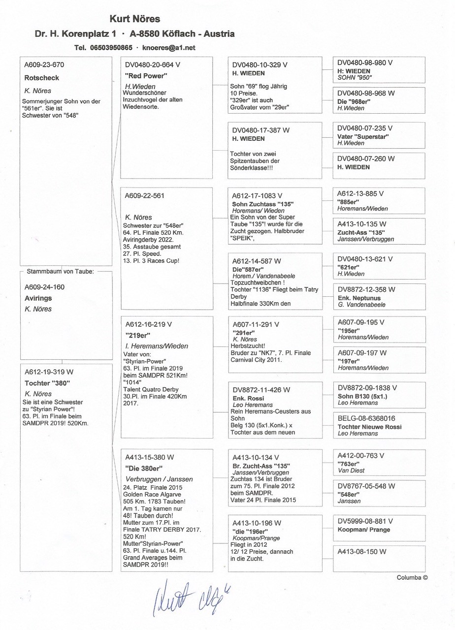 Pigeon pedigree image