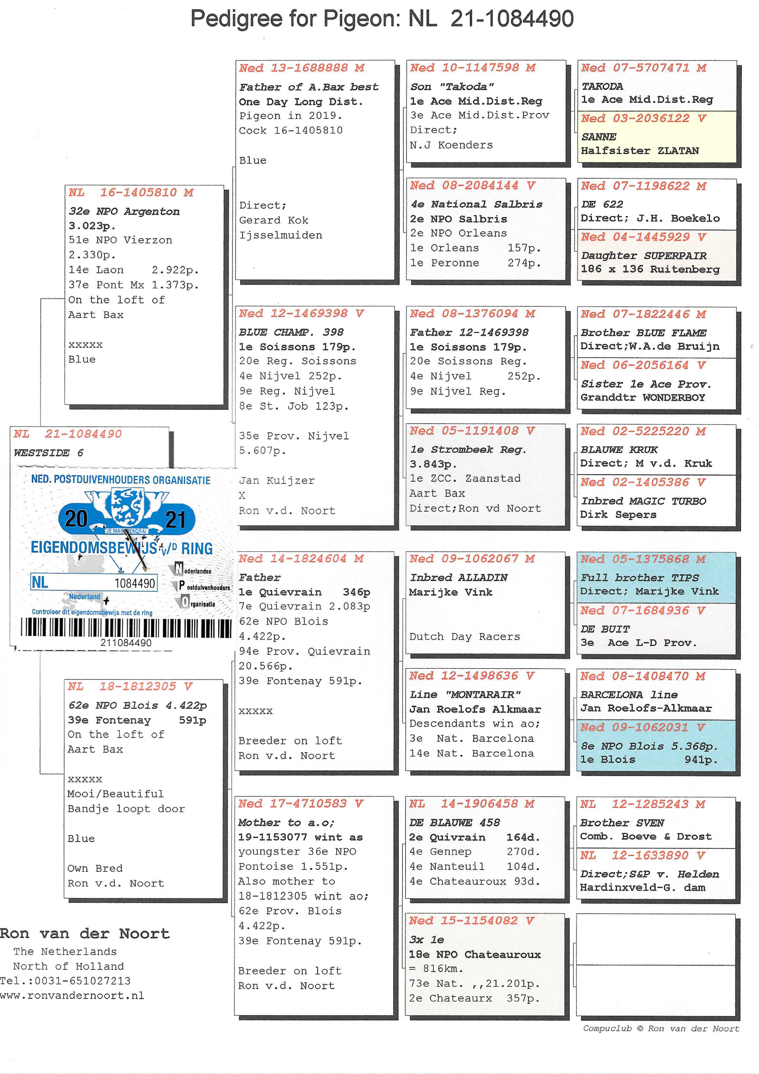 Pigeon pedigree image