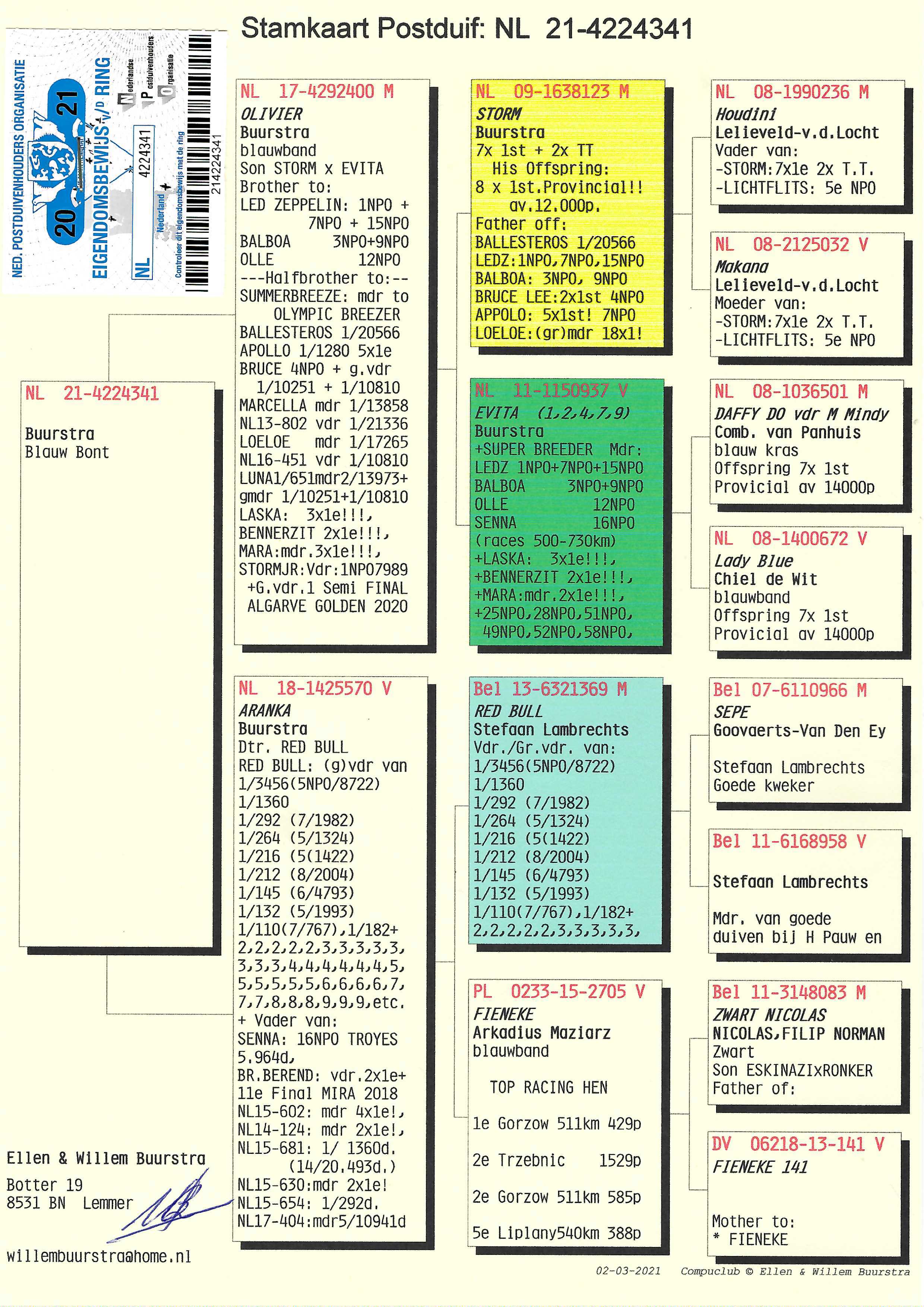 Pigeon pedigree image