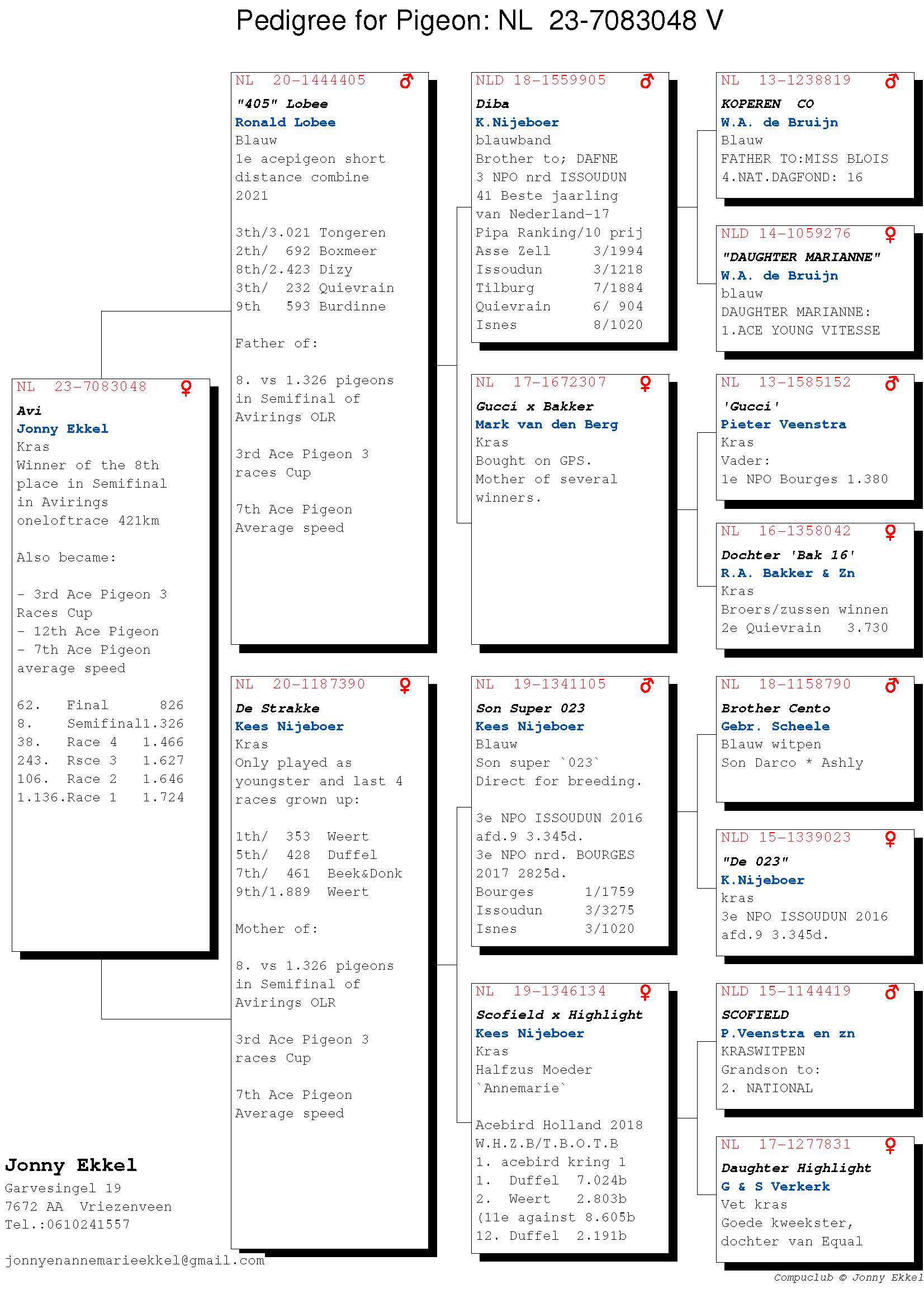 Pigeon pedigree image