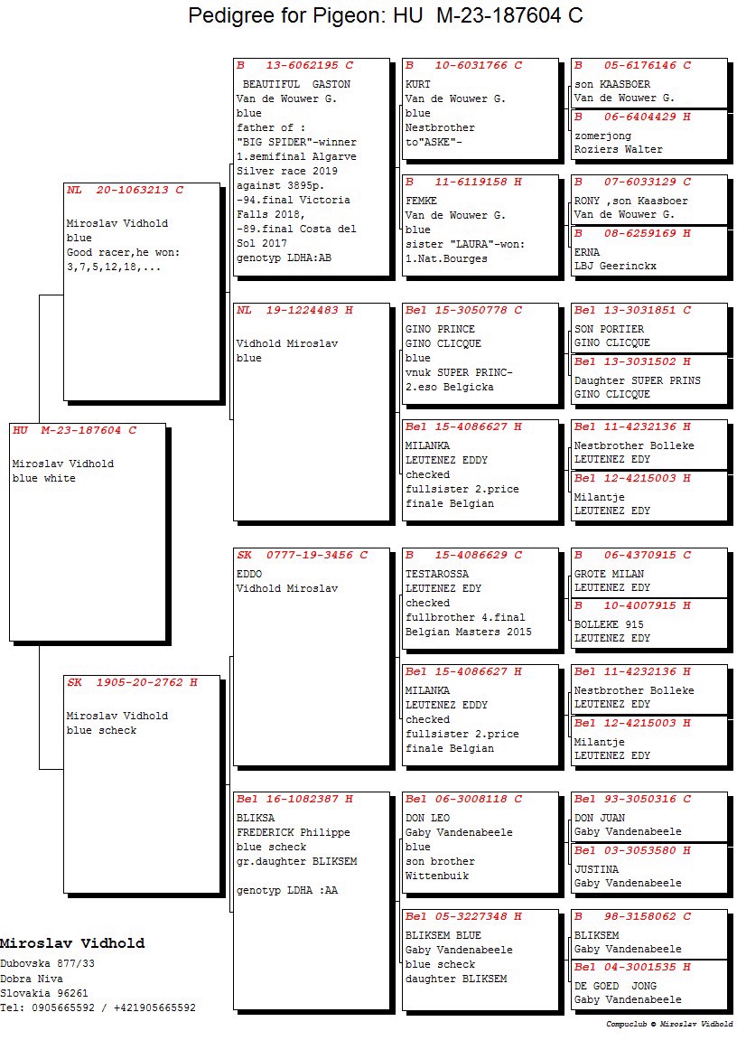 Pigeon pedigree image