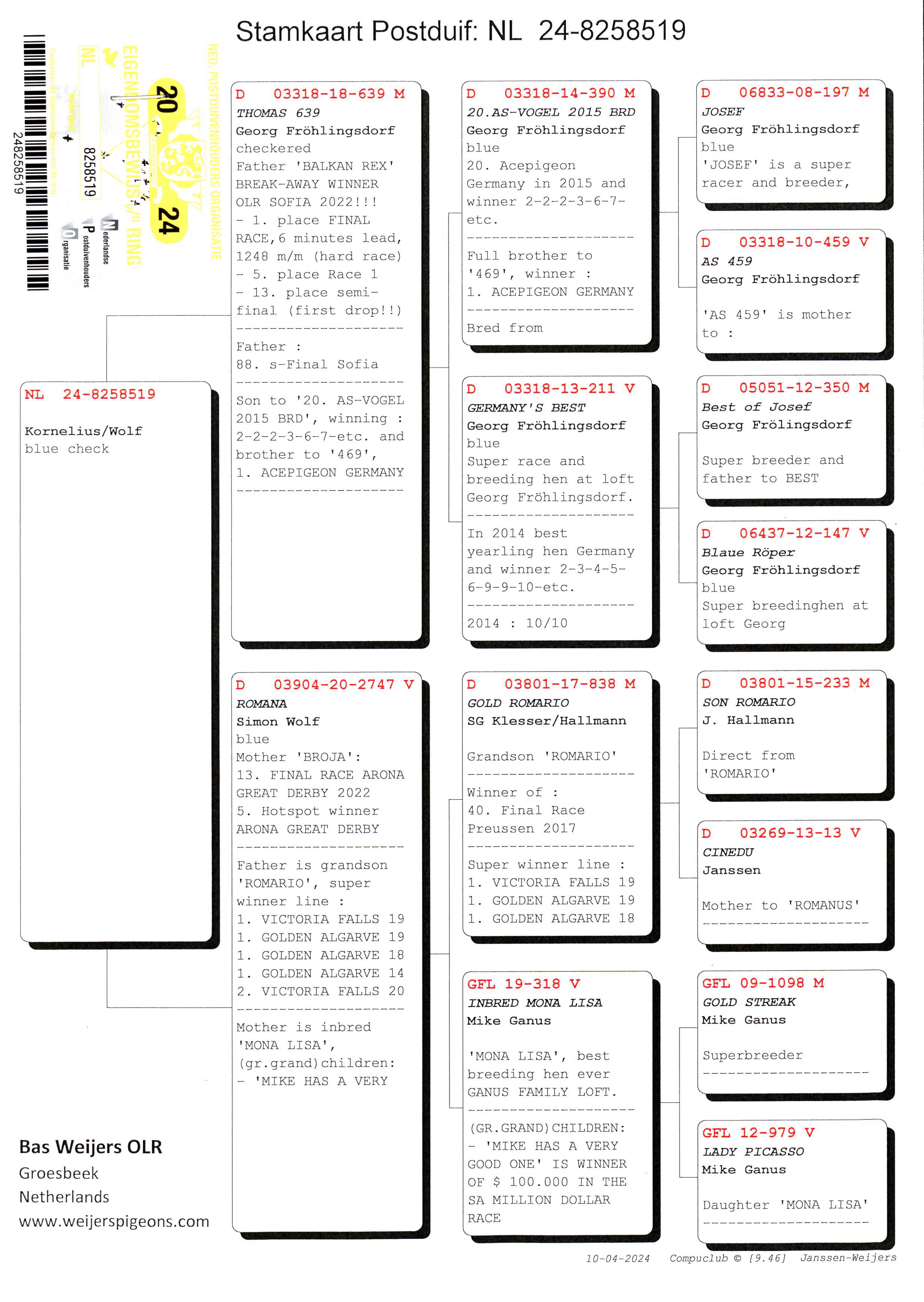 Pigeon pedigree image