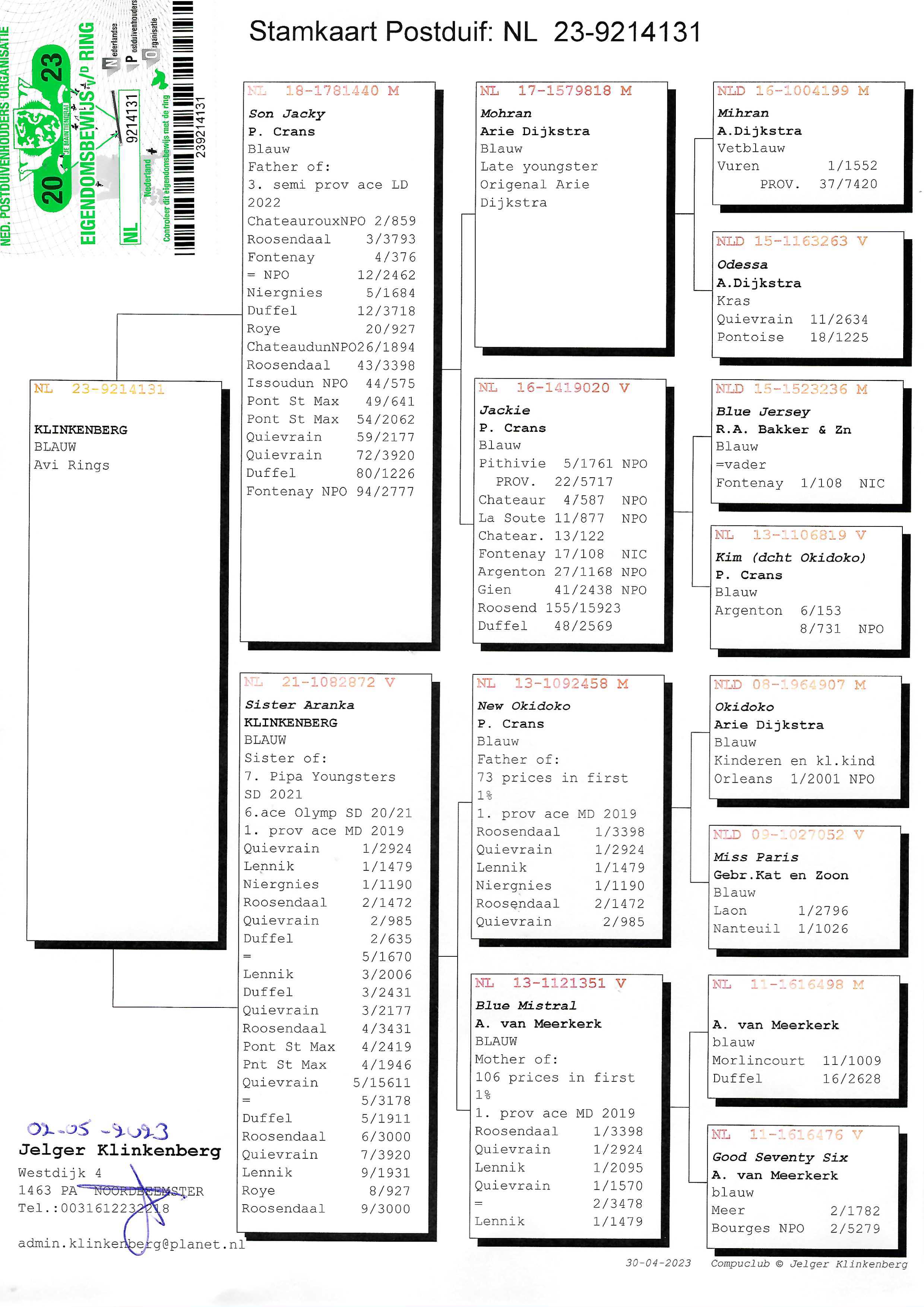 Pigeon pedigree image