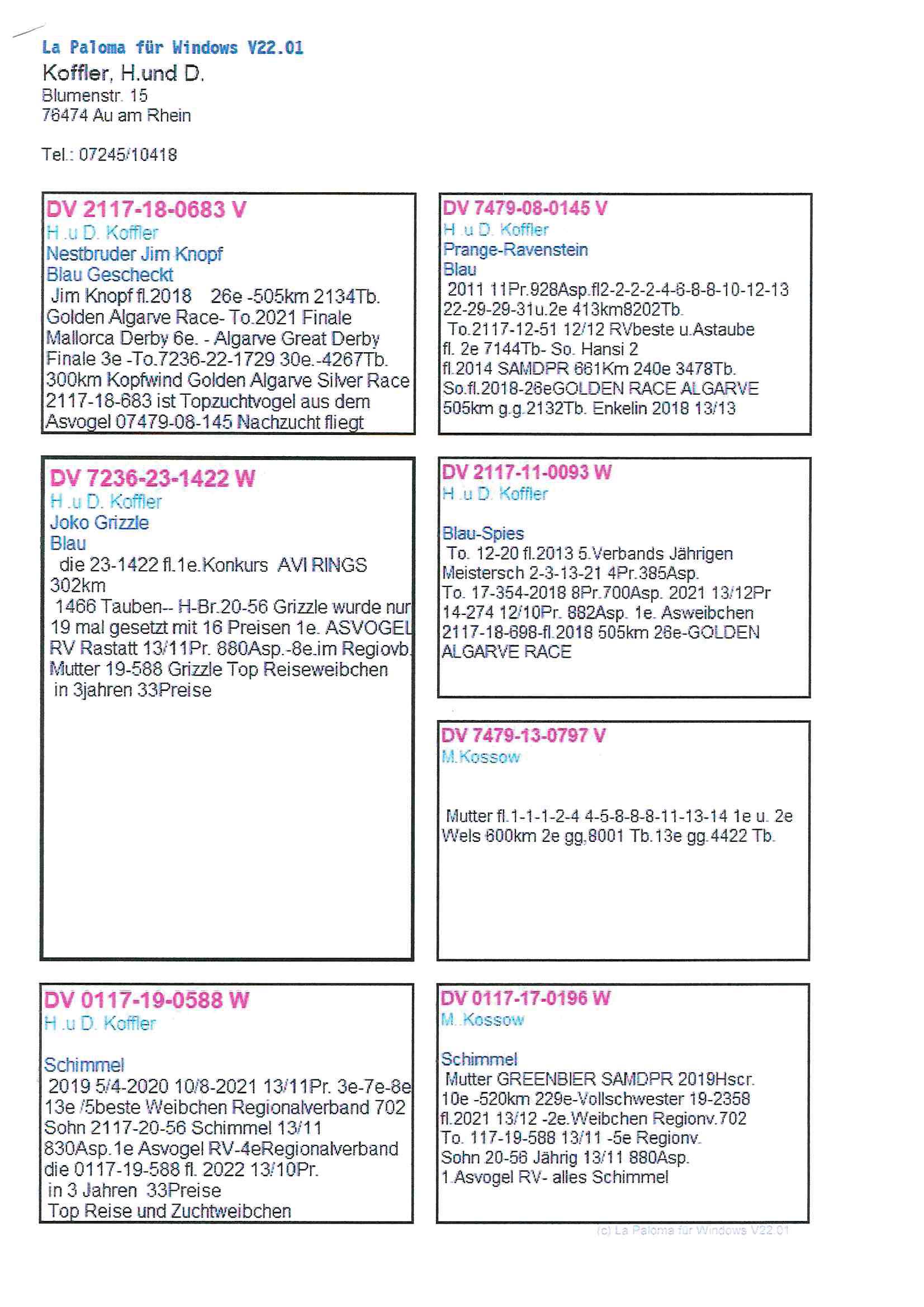 Pigeon pedigree image
