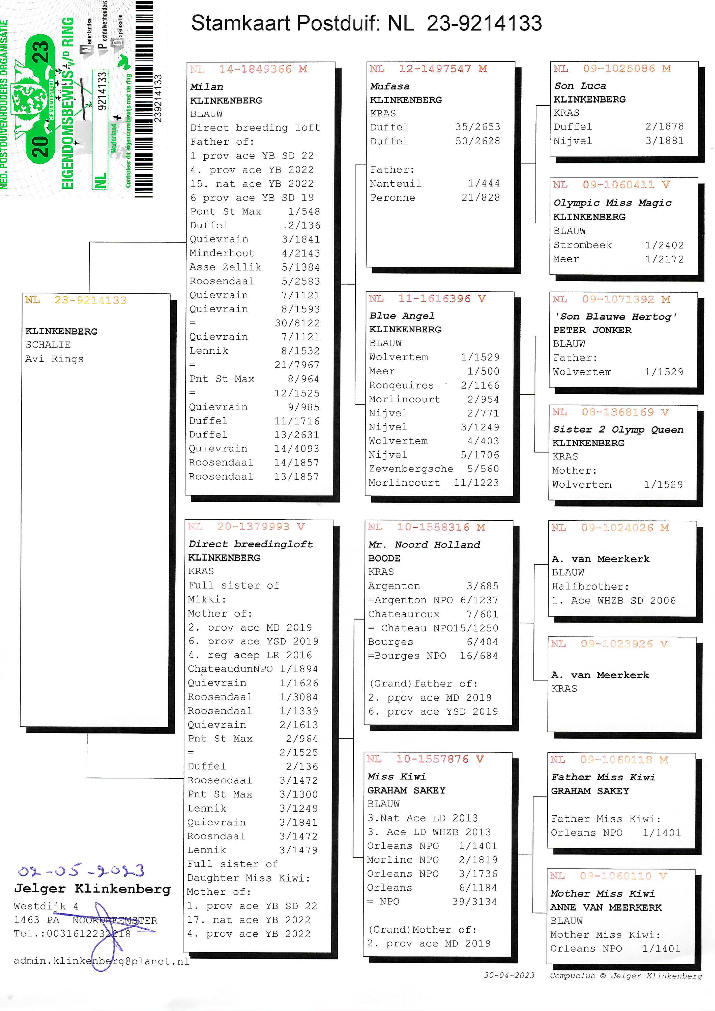 Pigeon pedigree image