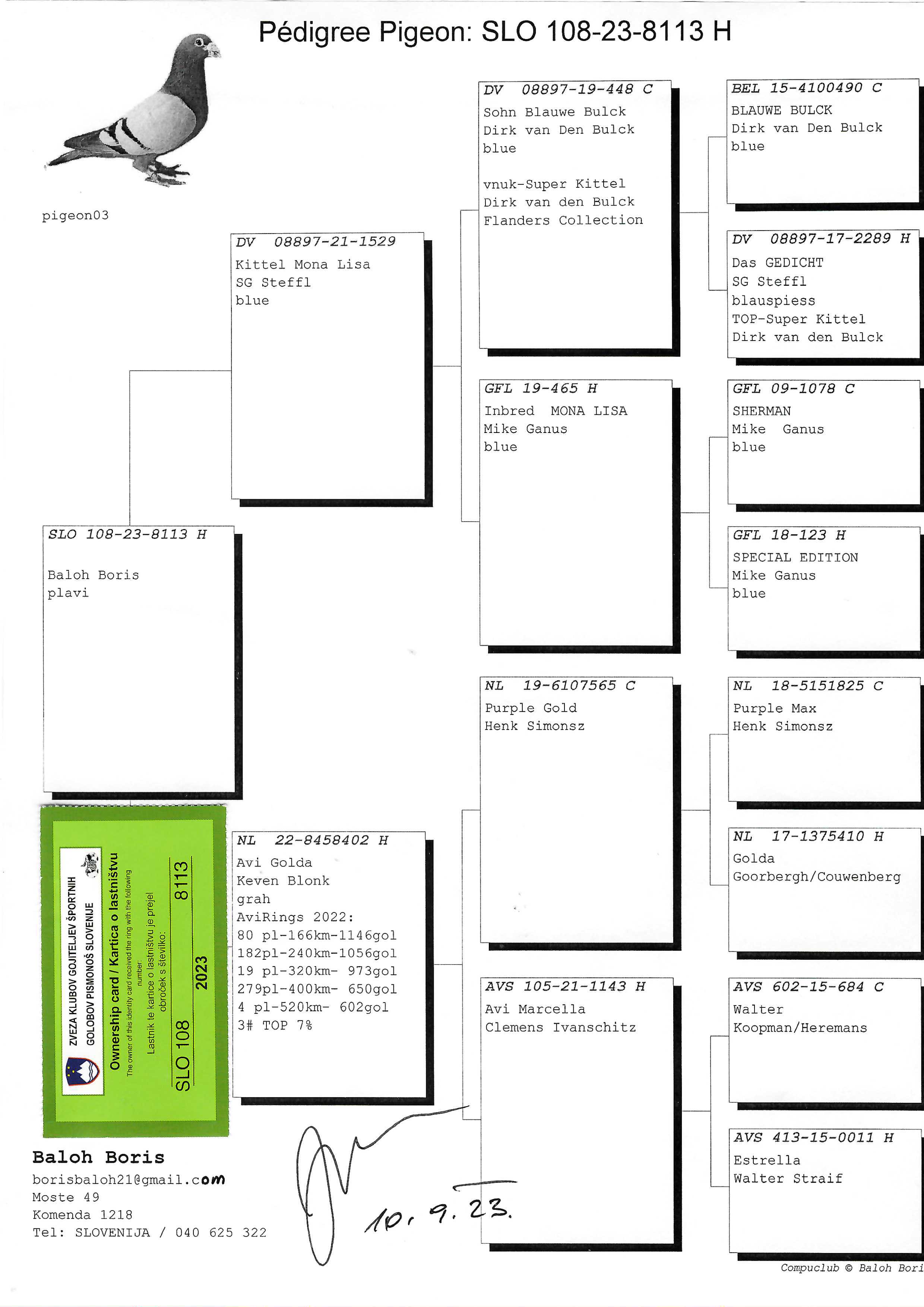 Pigeon pedigree image
