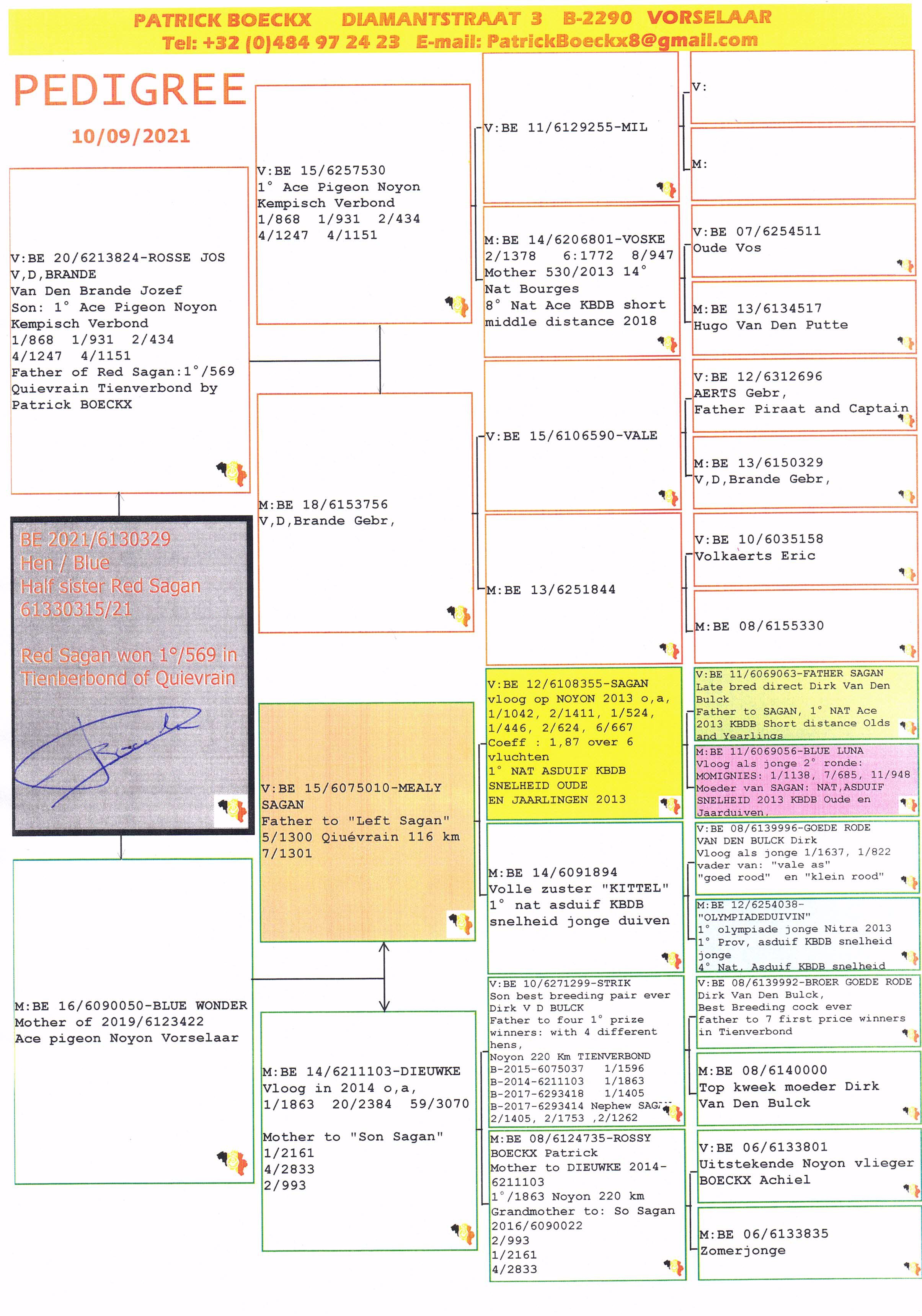 Pigeon pedigree image