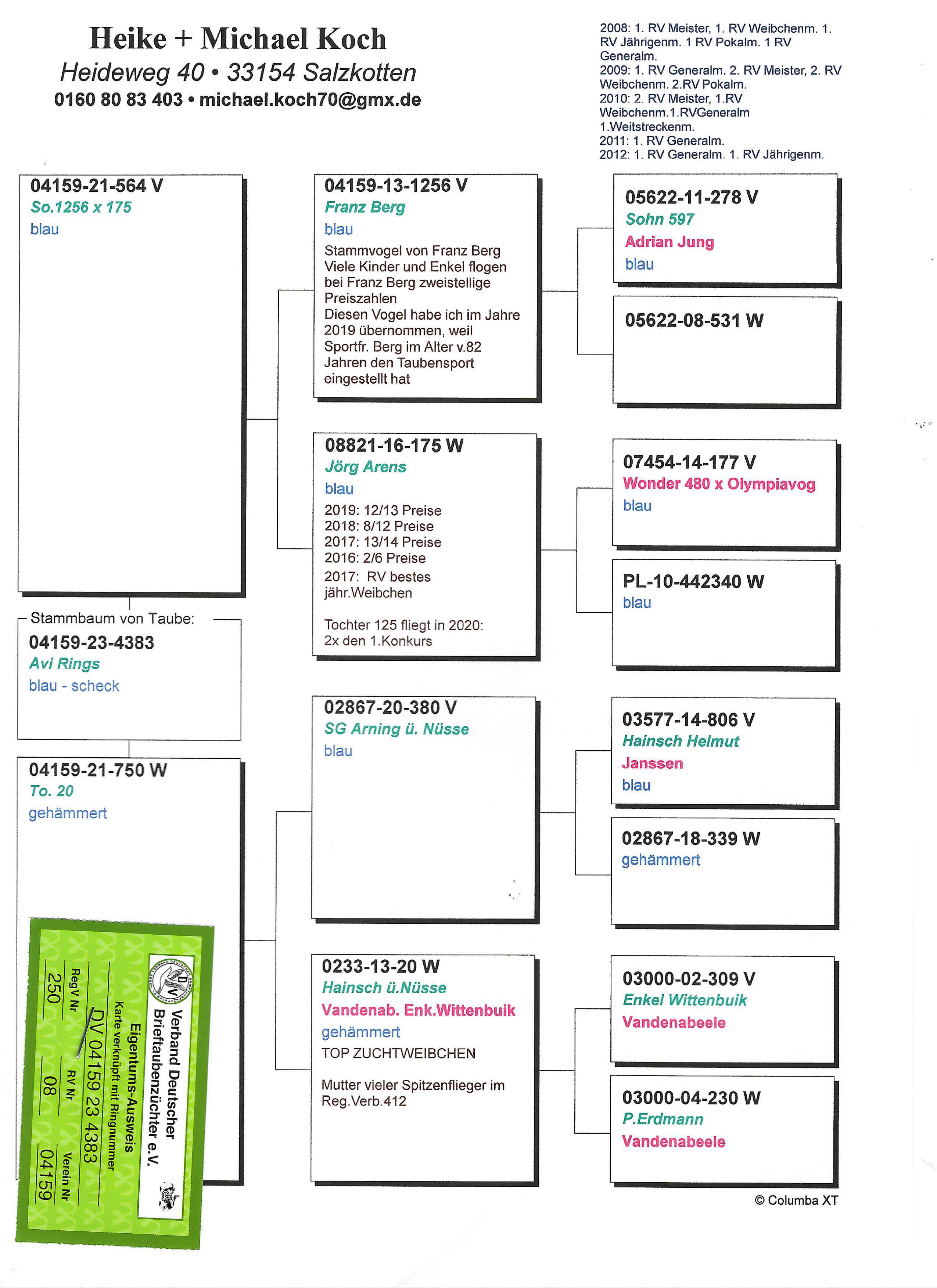 Pigeon pedigree image