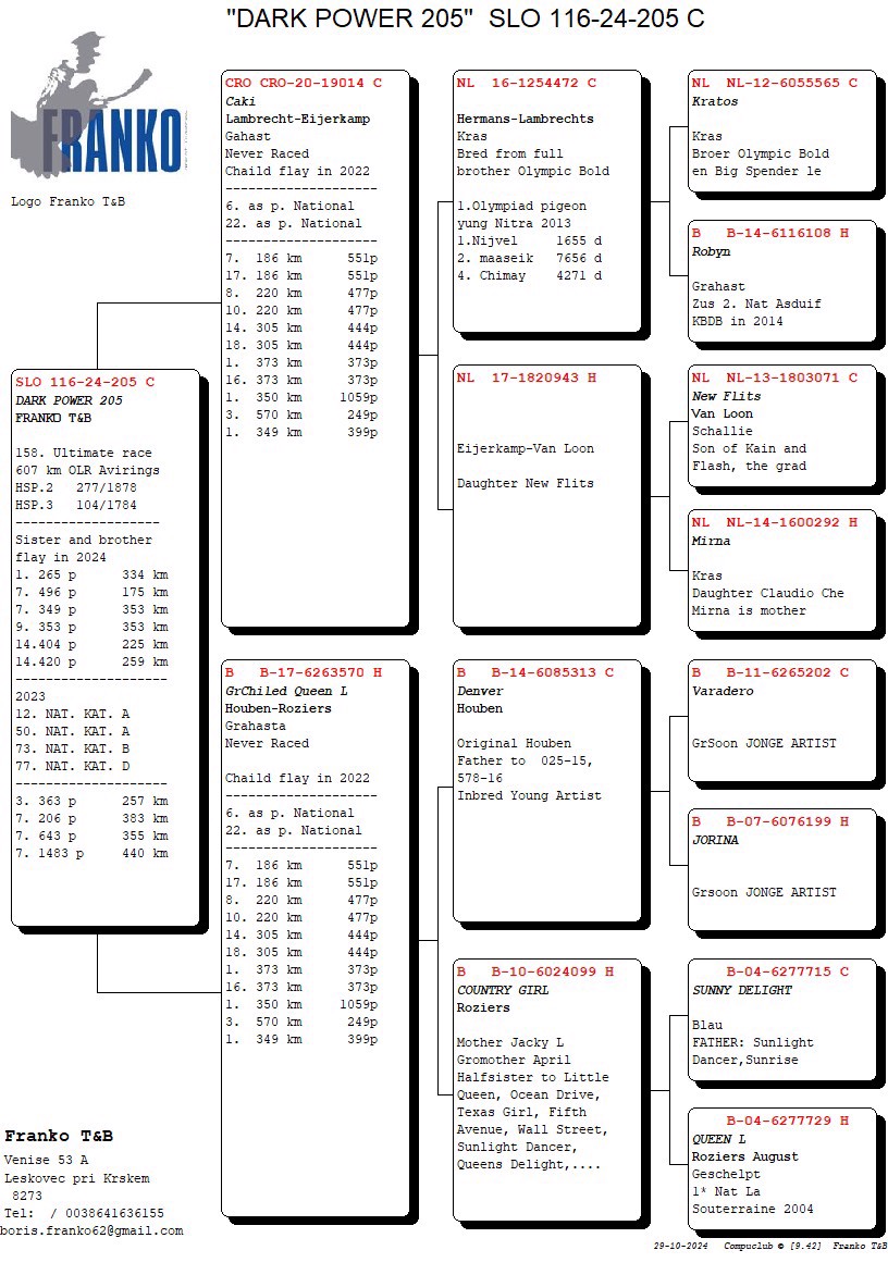 Pigeon pedigree image