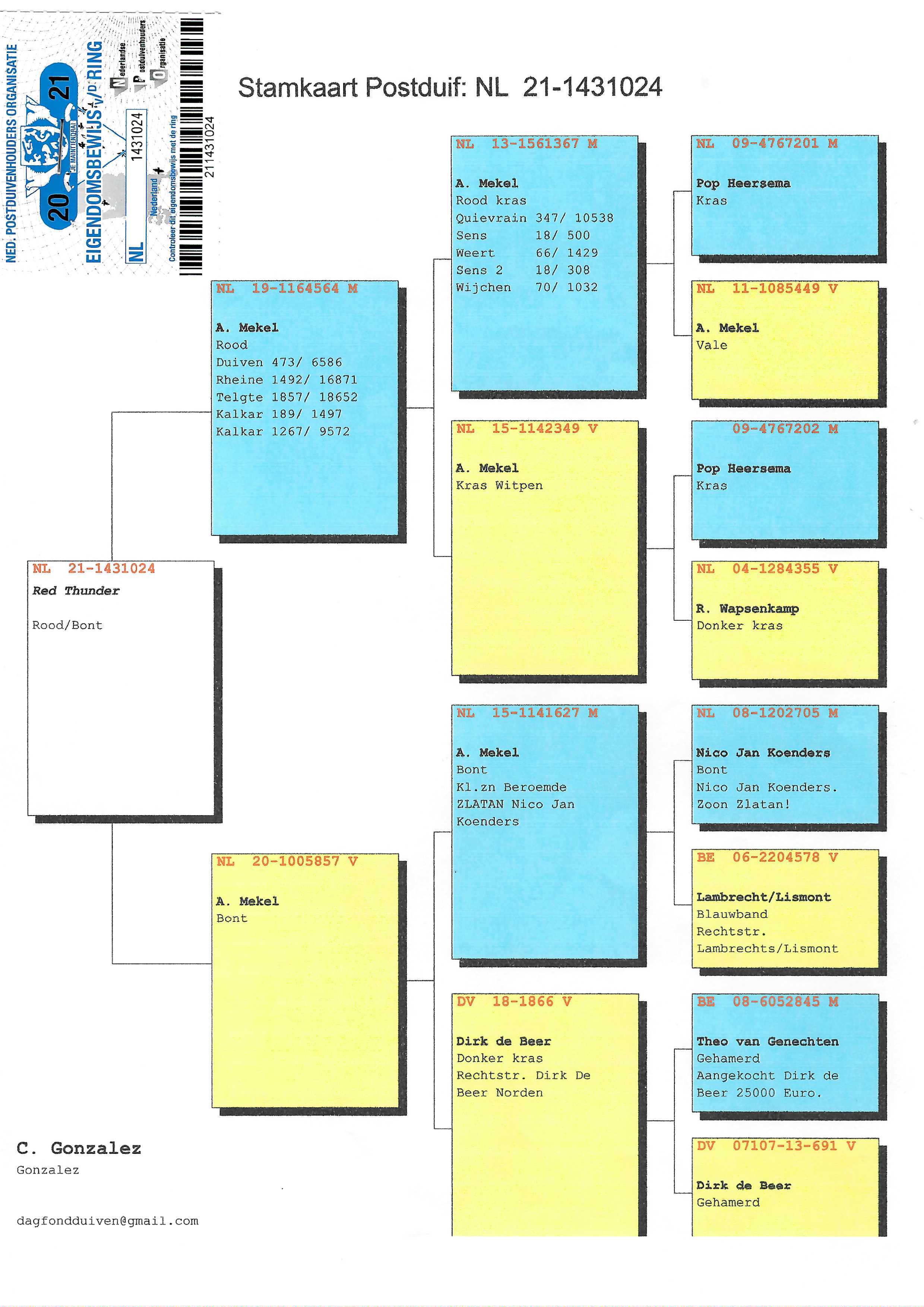 Pigeon pedigree image
