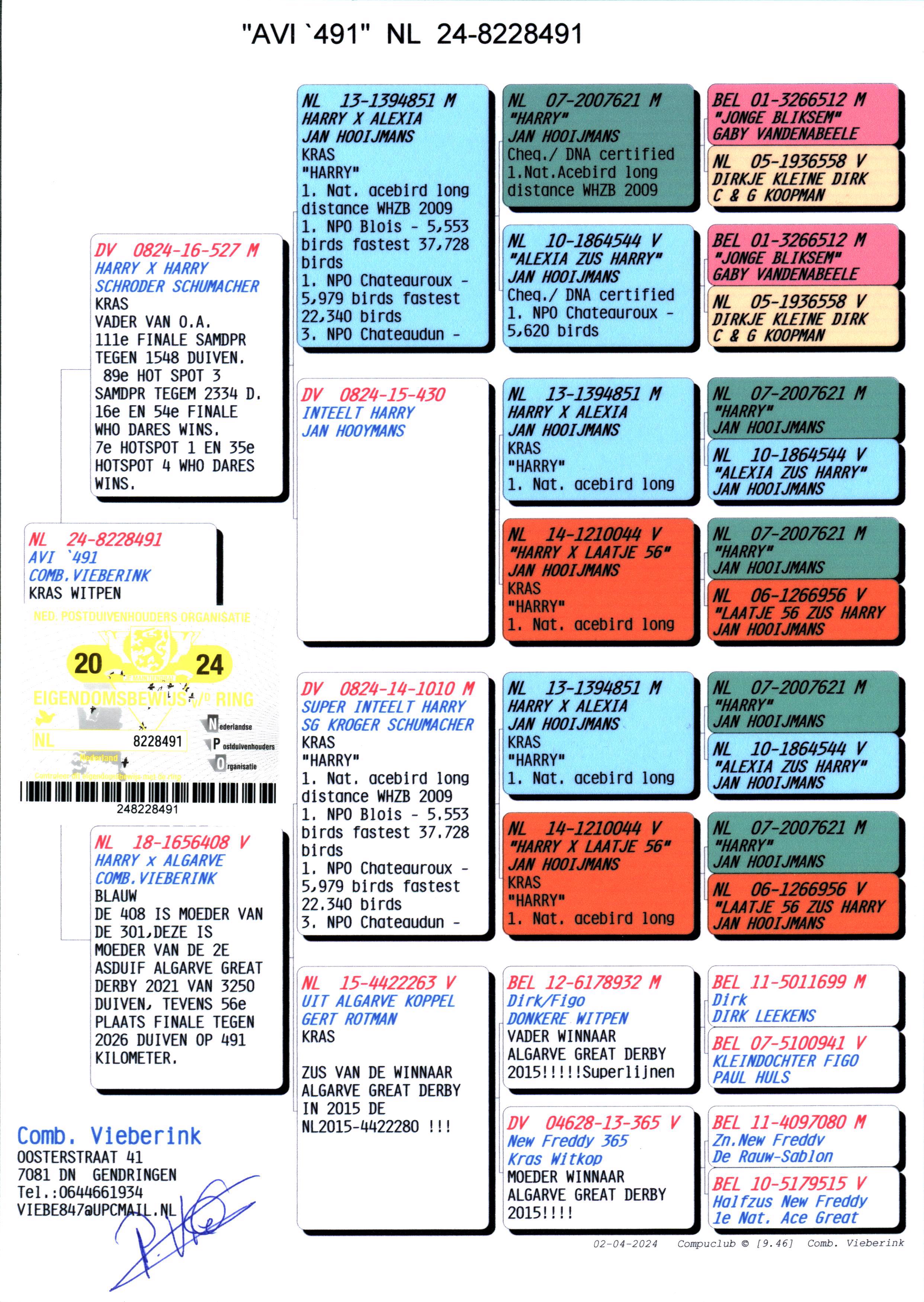 Pigeon pedigree image