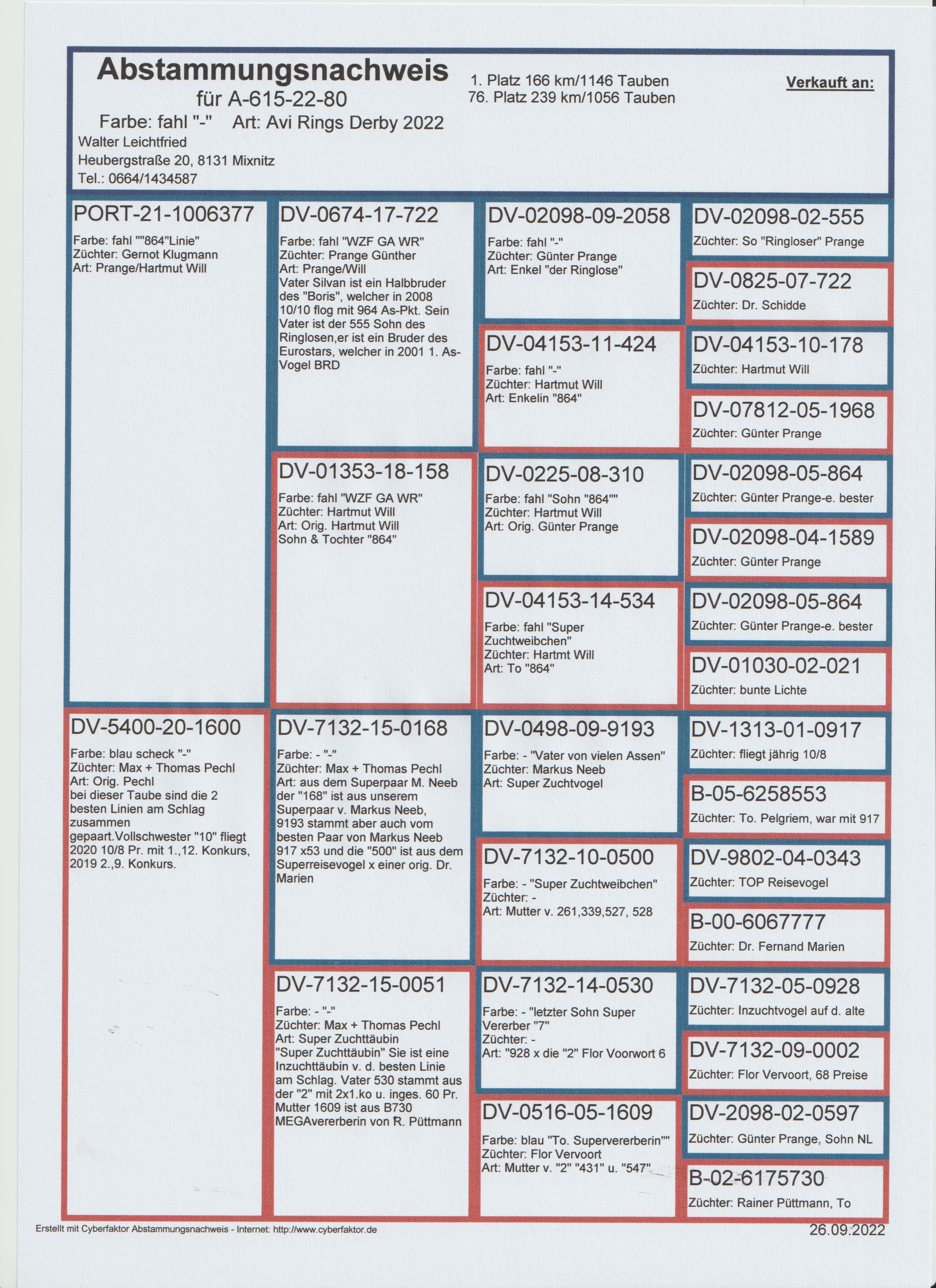 Pigeon pedigree image
