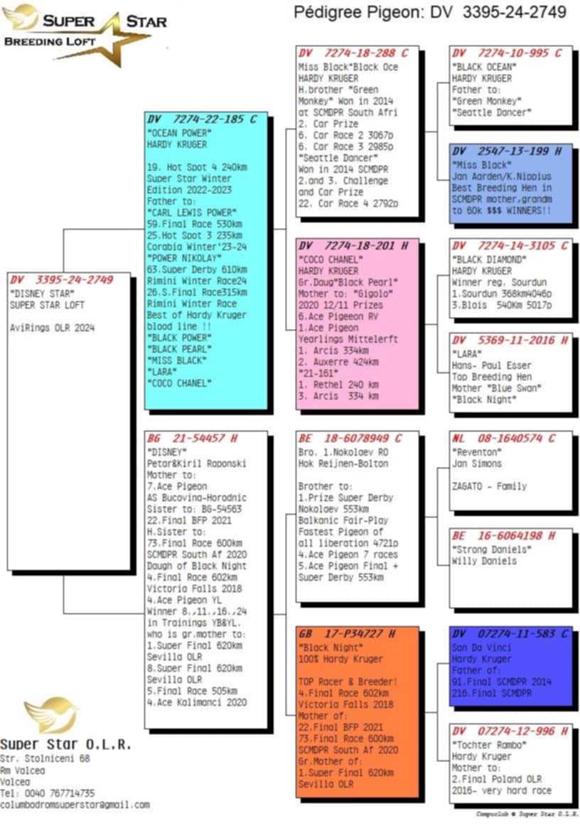 Pigeon pedigree image