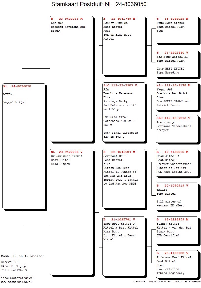 Pigeon pedigree image