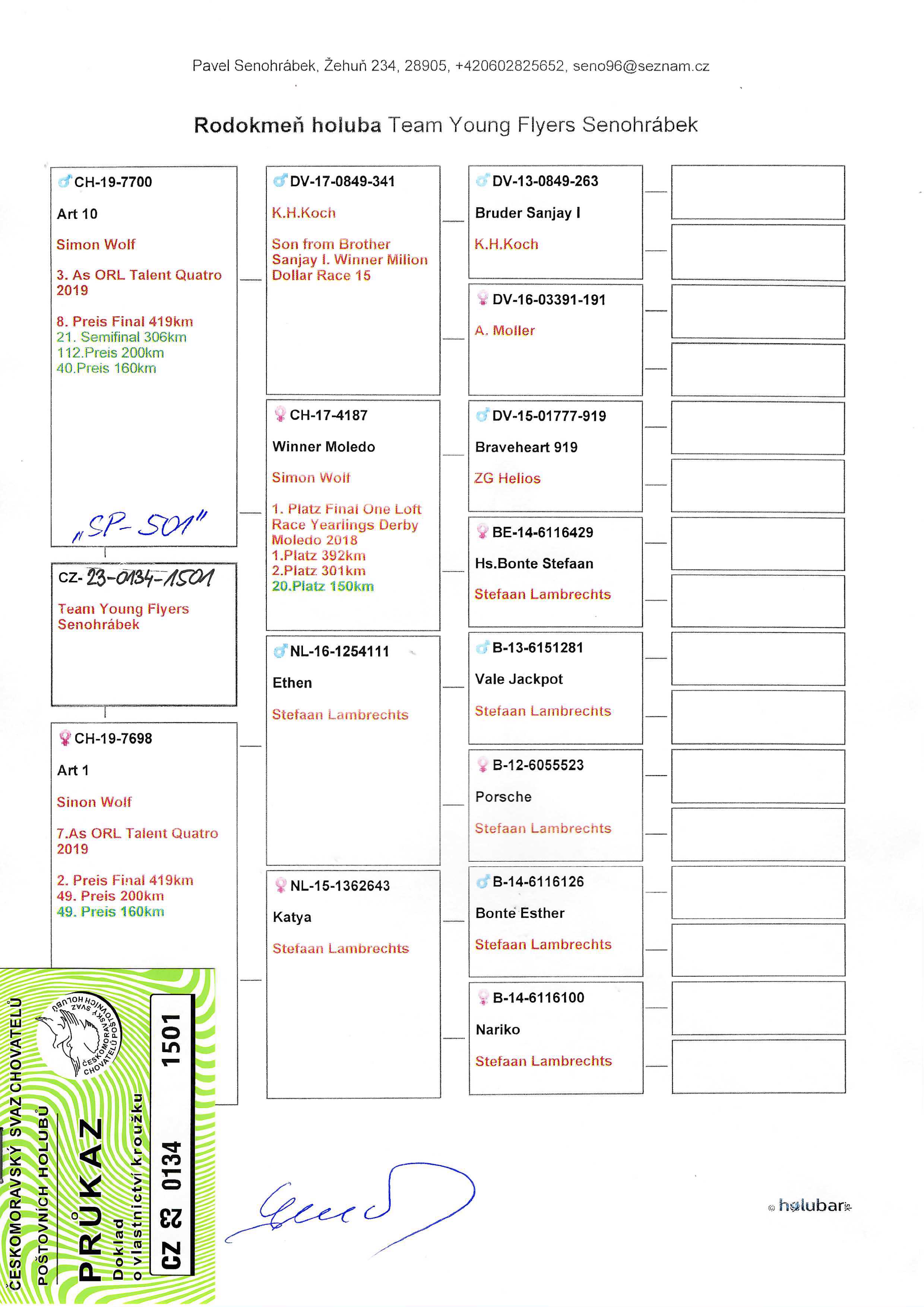 Pigeon pedigree image