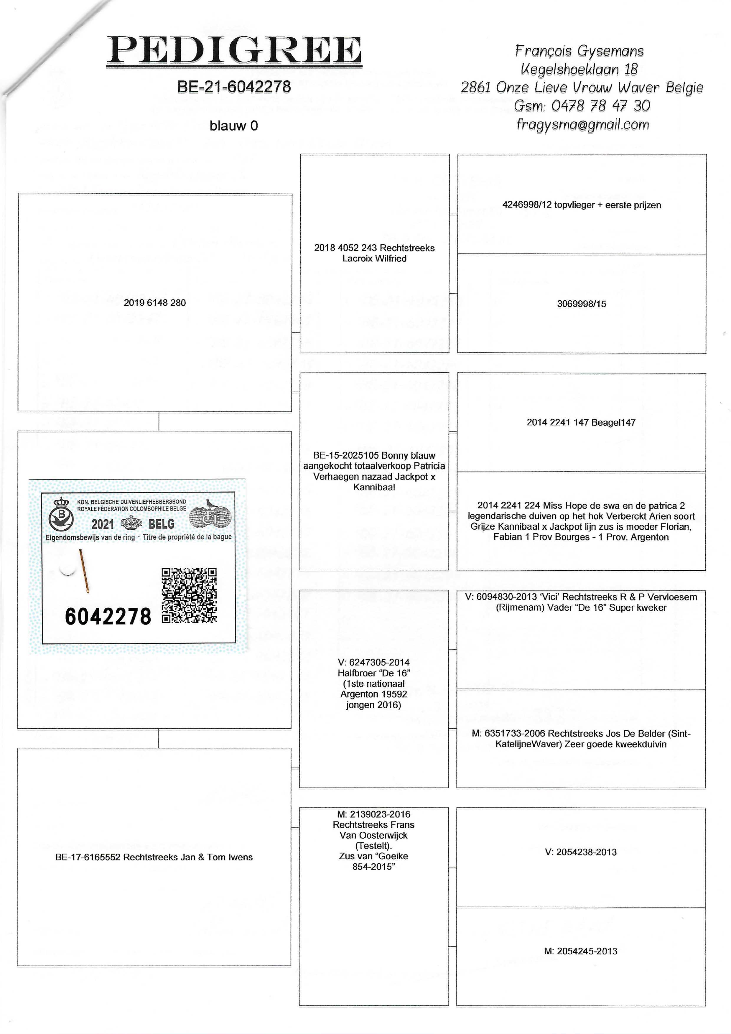 Pigeon pedigree image
