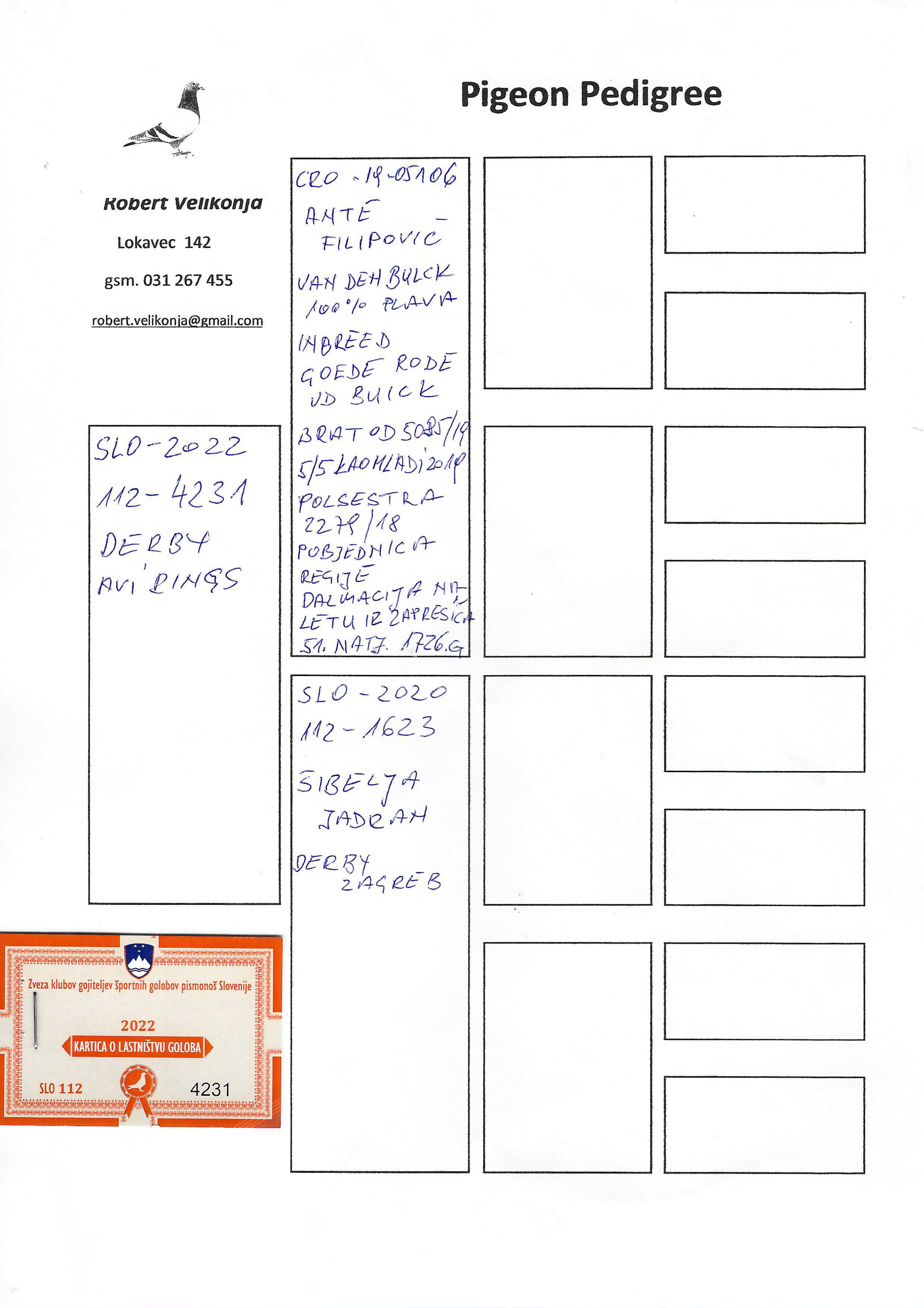 Pigeon pedigree image