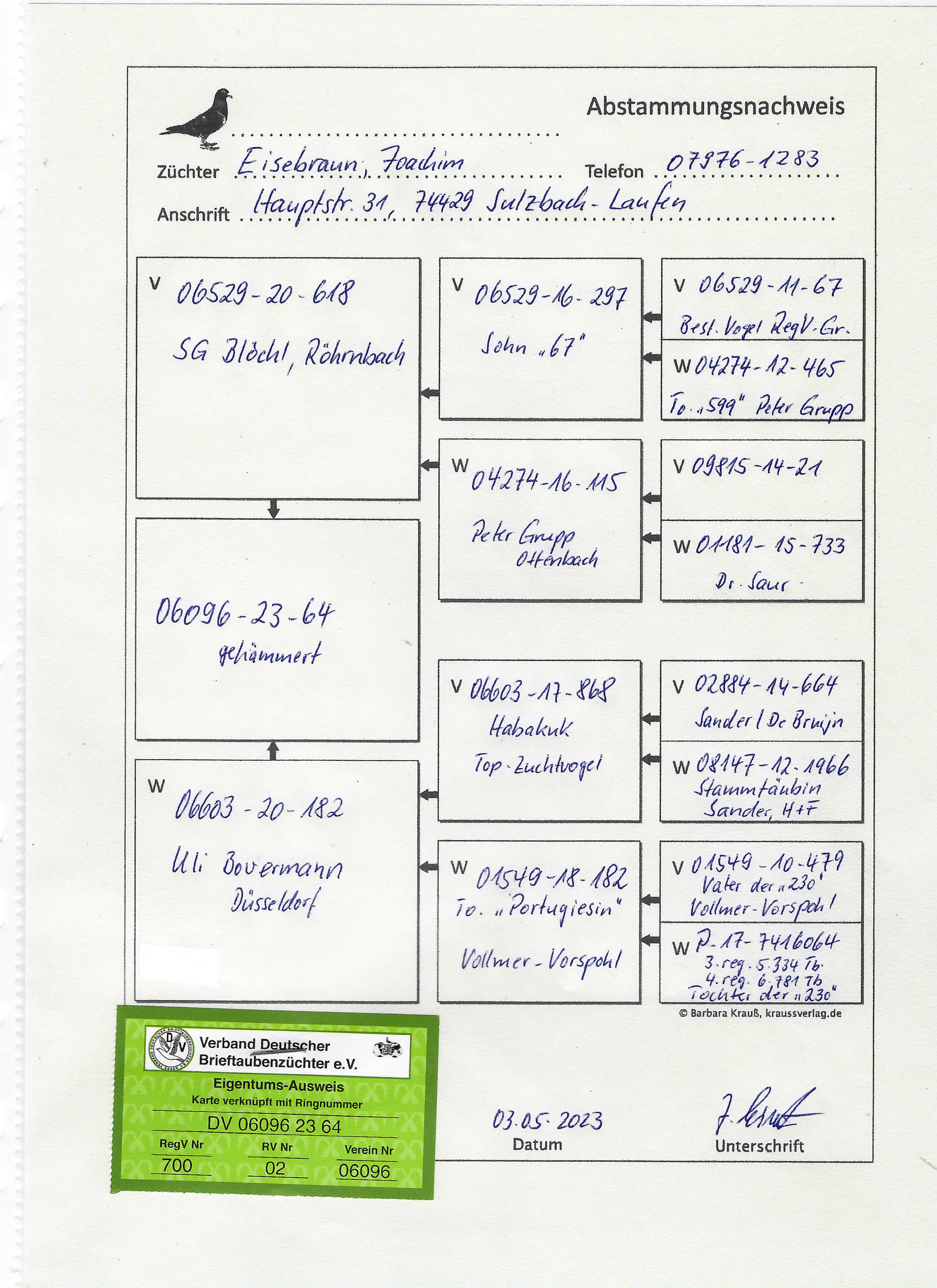 Pigeon pedigree image