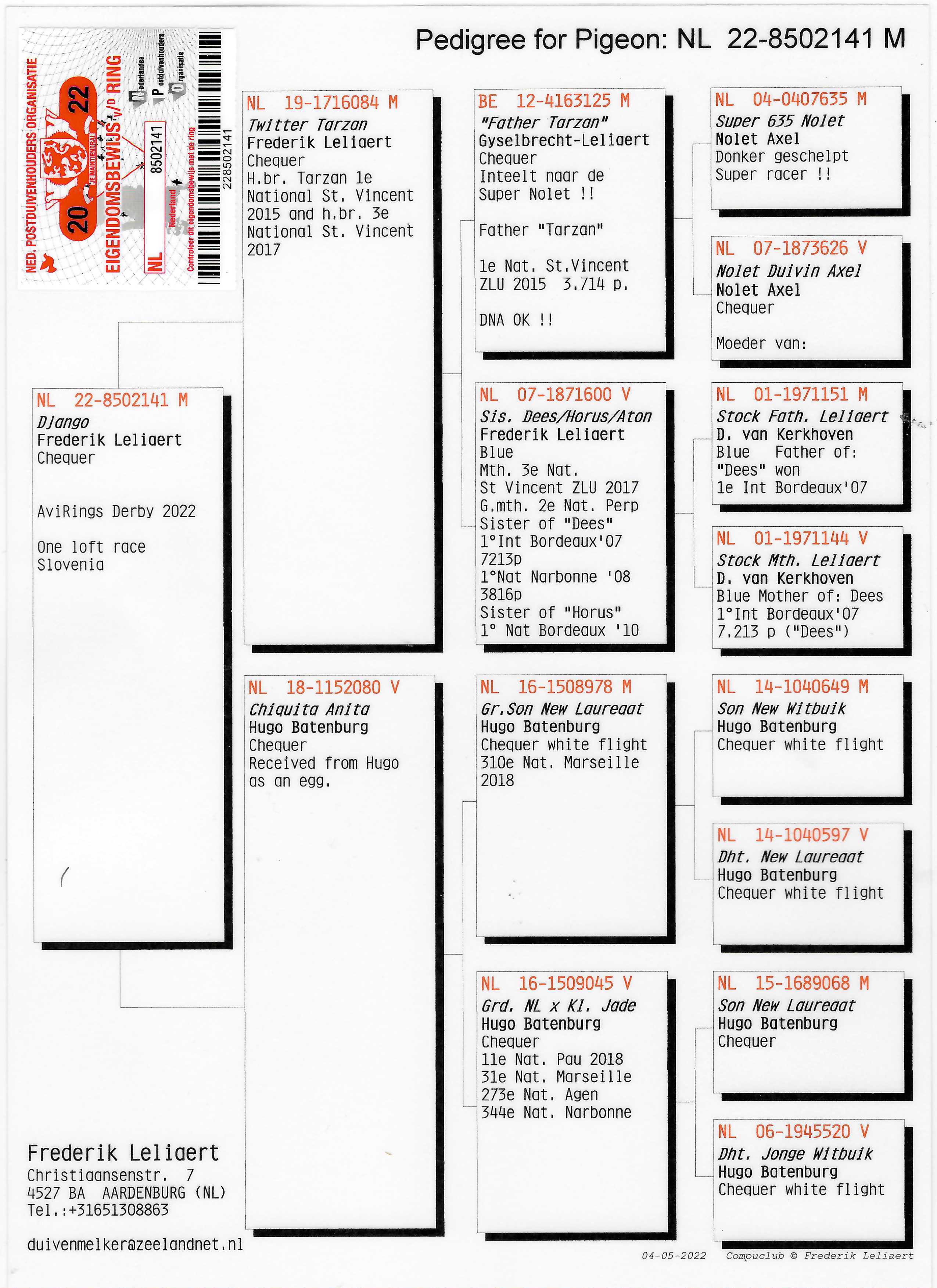 Pigeon pedigree image