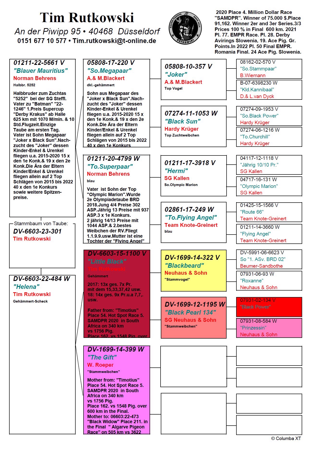 Pigeon pedigree image