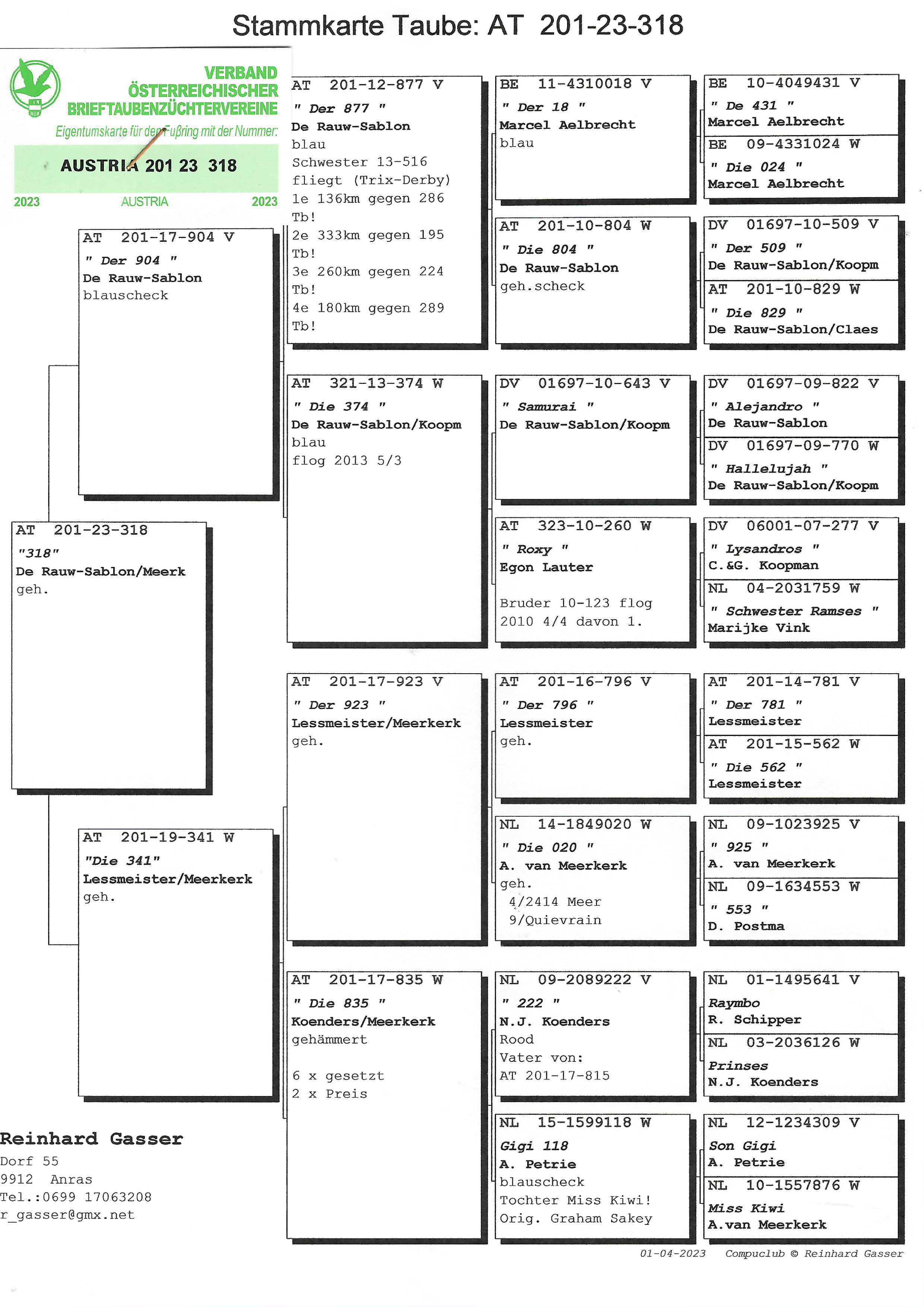 Pigeon pedigree image