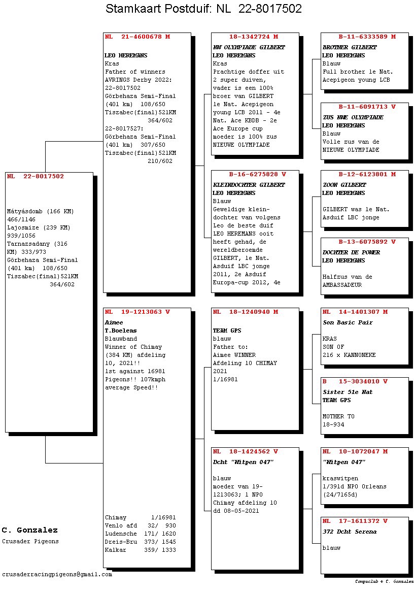 Pigeon pedigree image