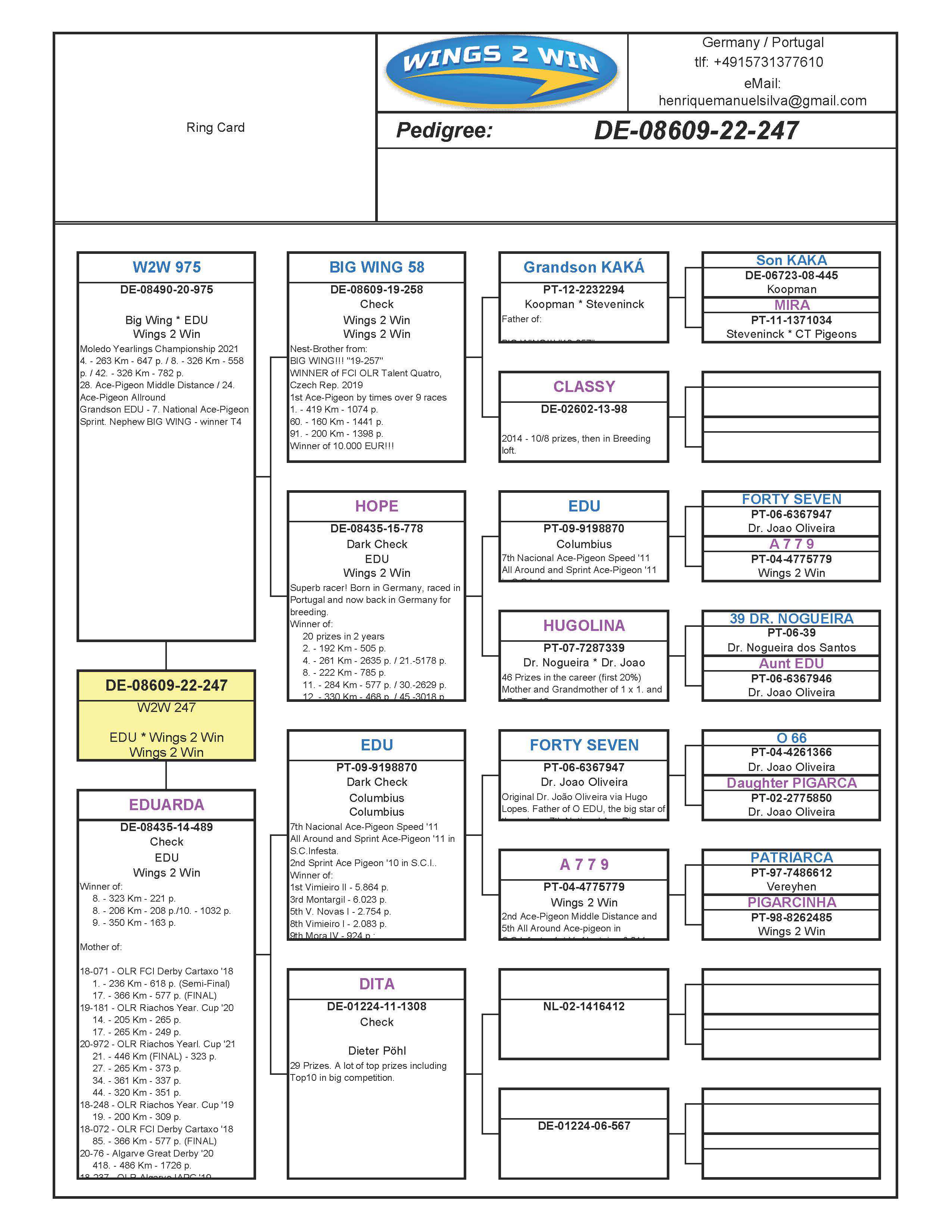 Pigeon pedigree image