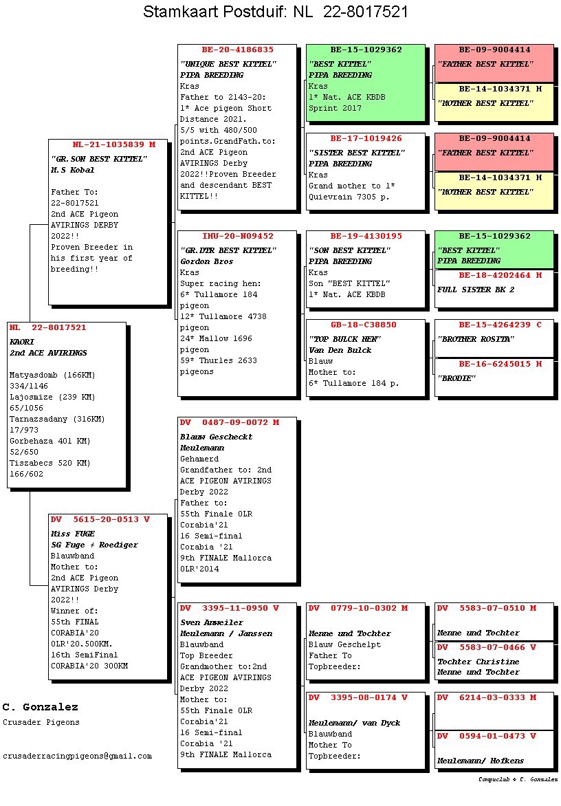 Pigeon pedigree image