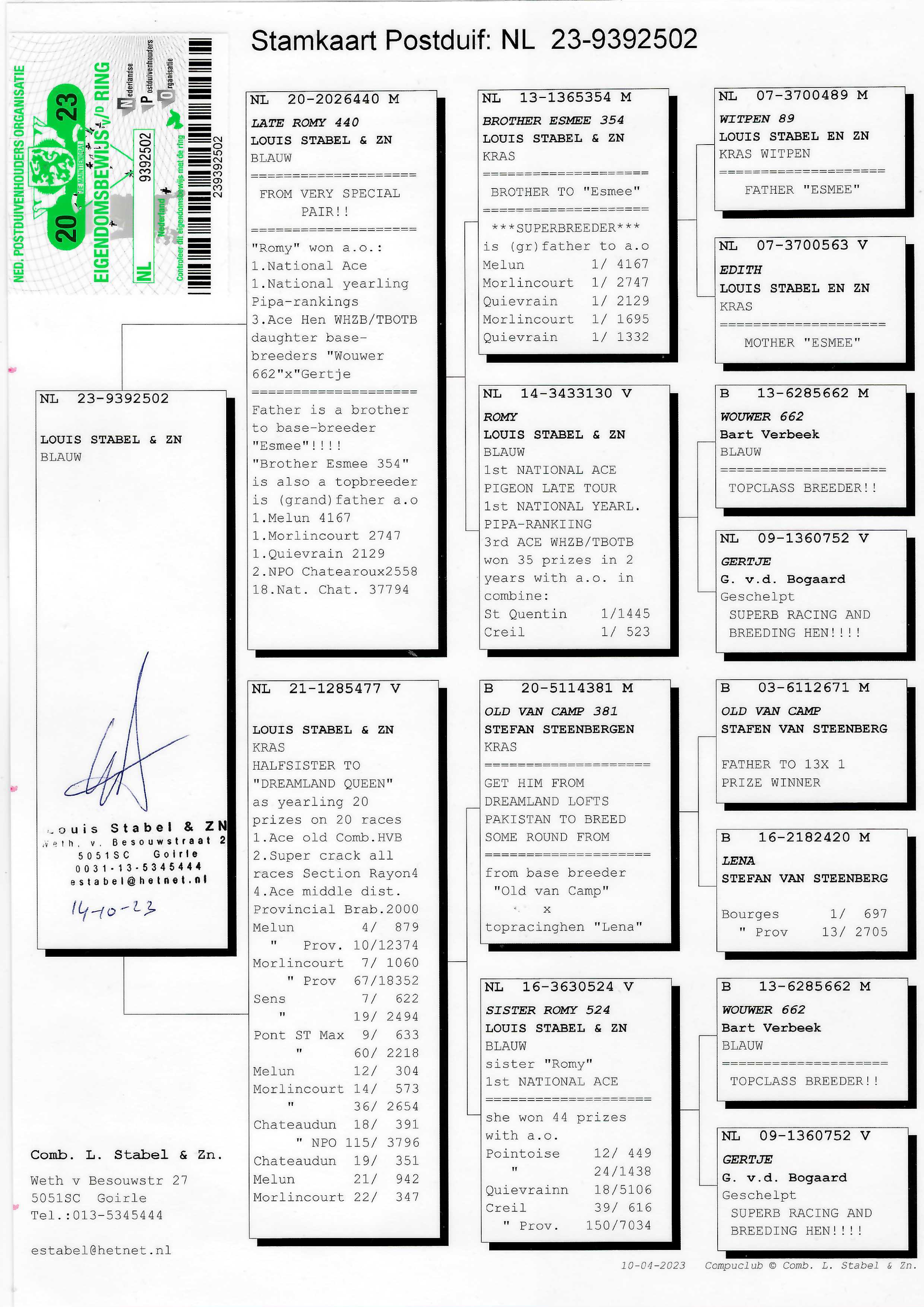 Pigeon pedigree image