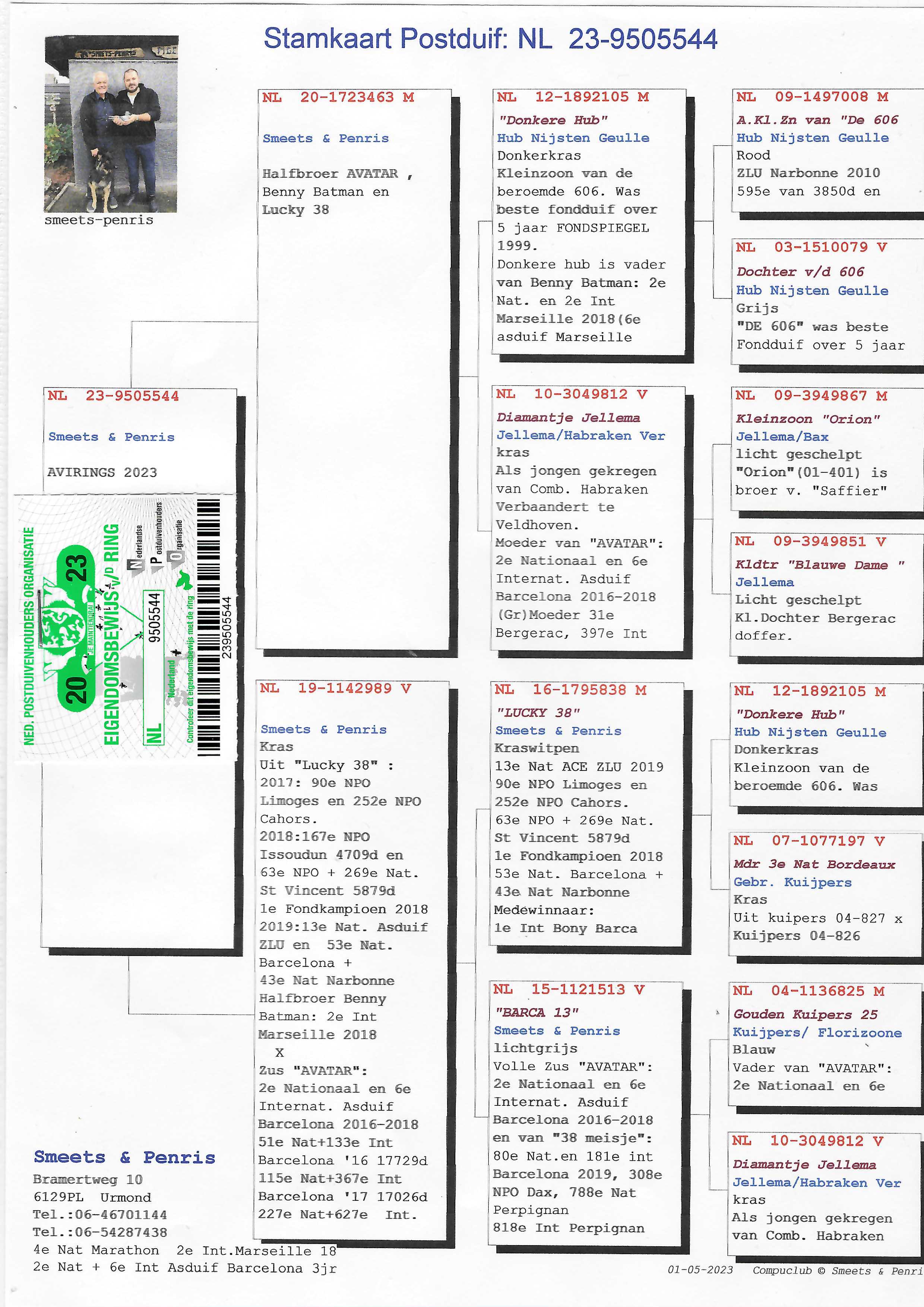 Pigeon pedigree image