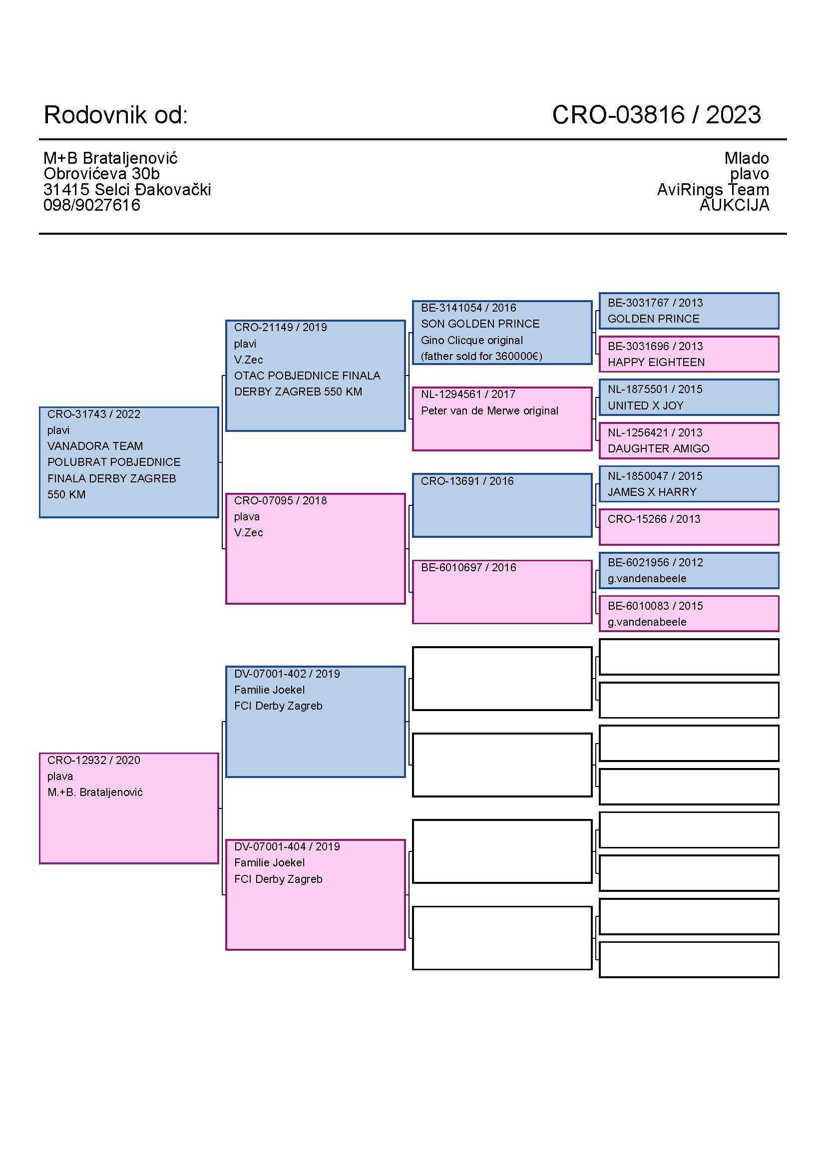 Pigeon pedigree image