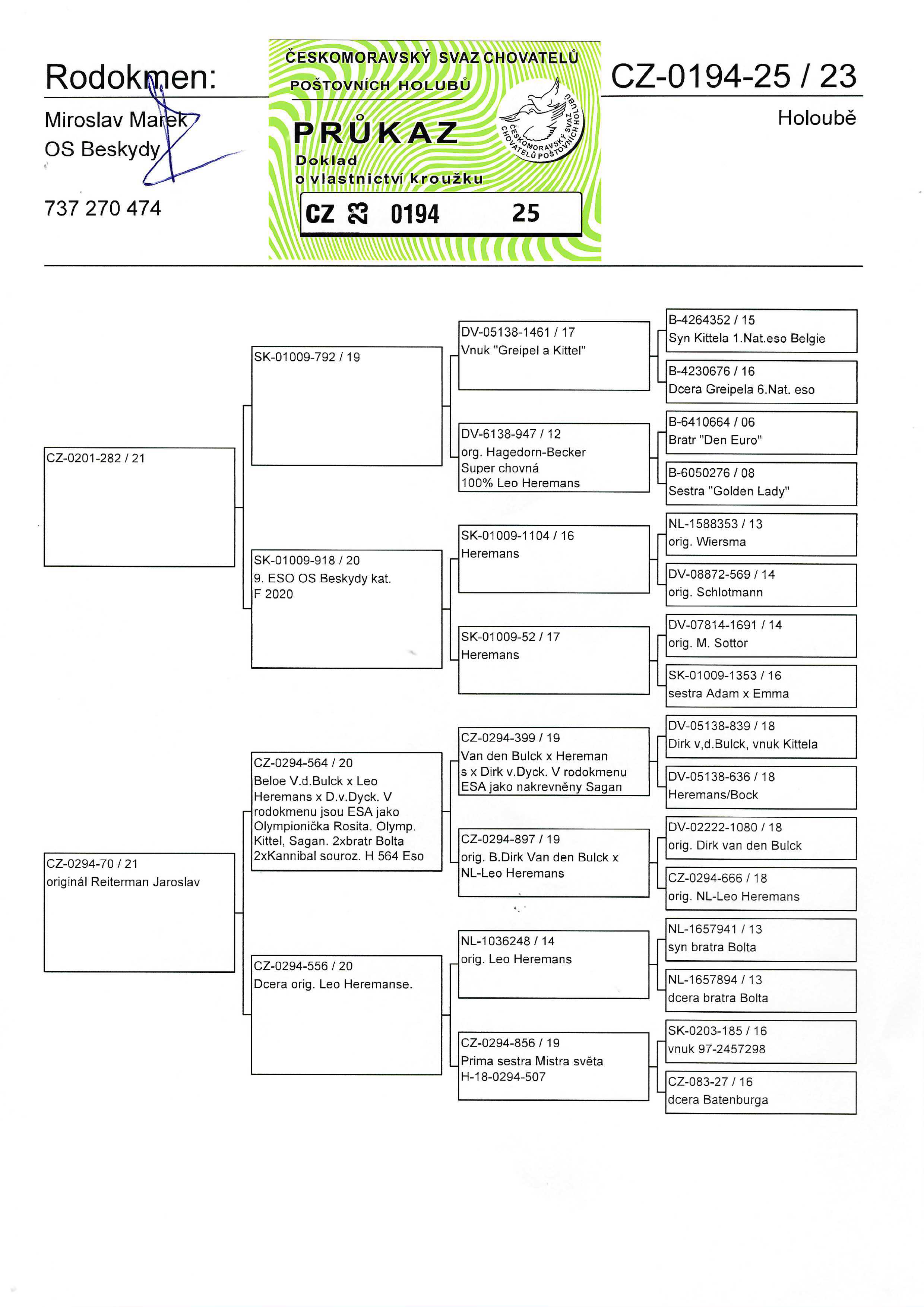 Pigeon pedigree image