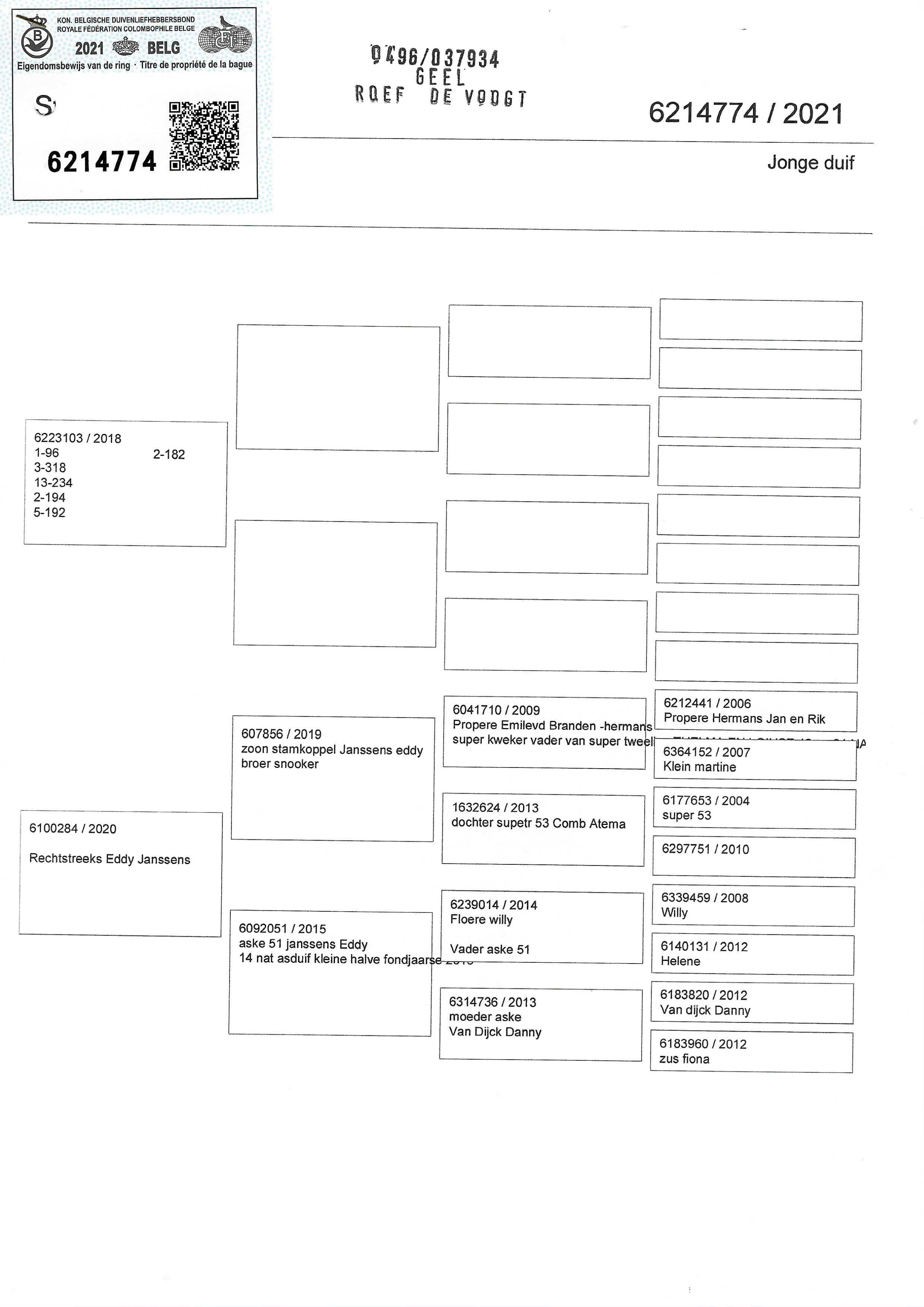 Pigeon pedigree image