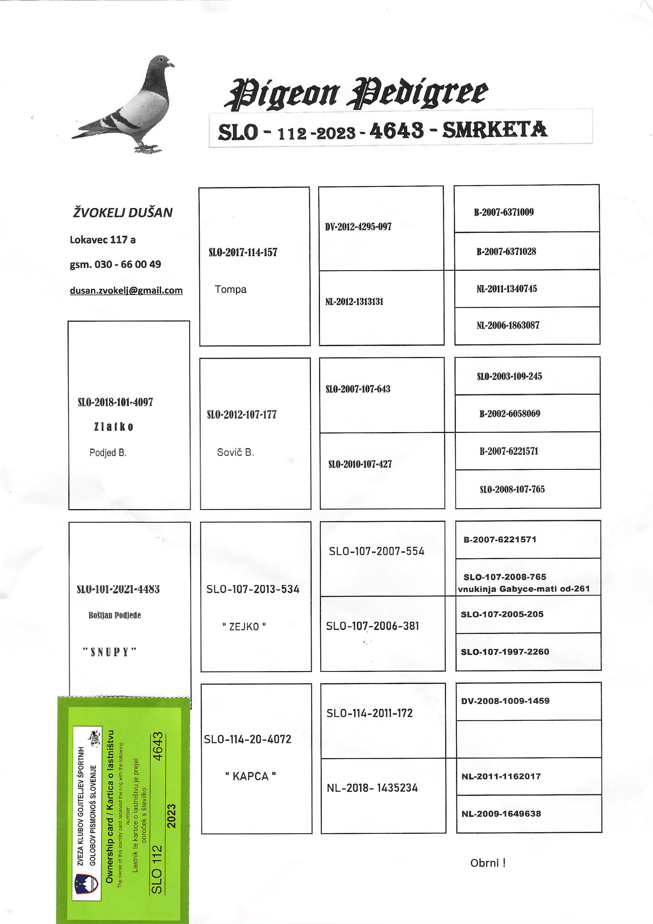 Pigeon pedigree image