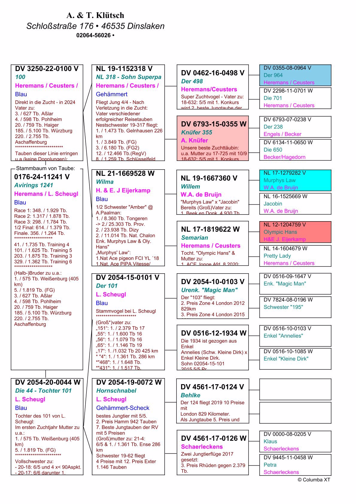 Pigeon pedigree image