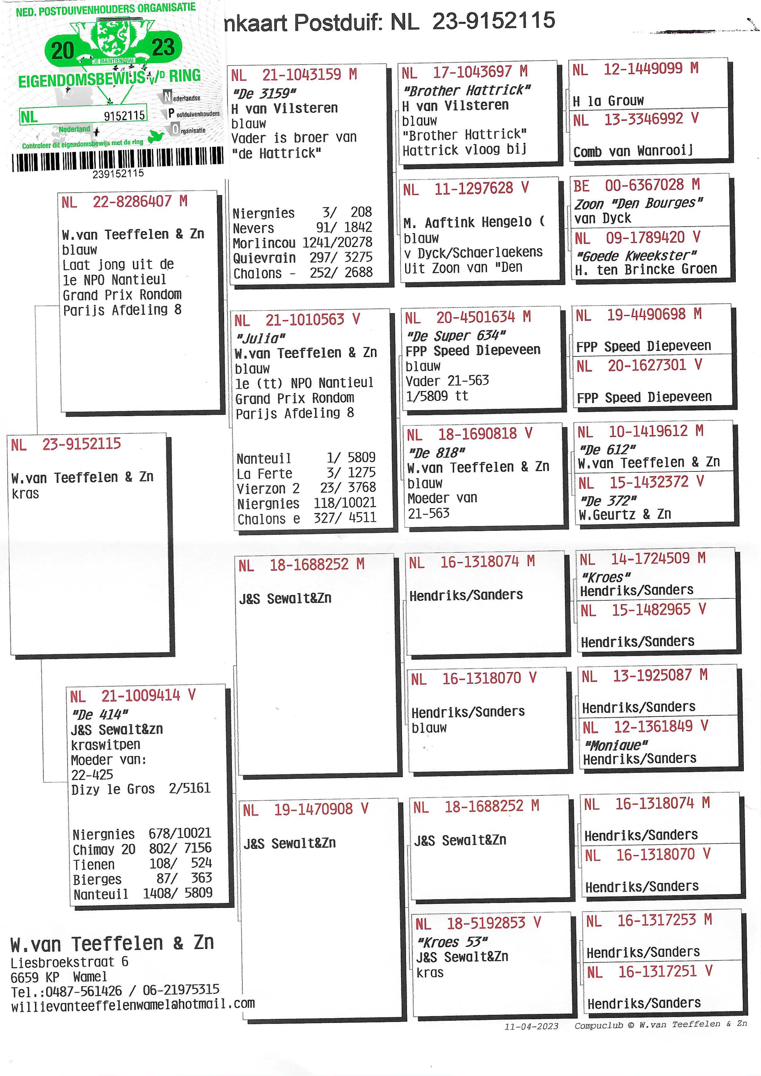 Pigeon pedigree image
