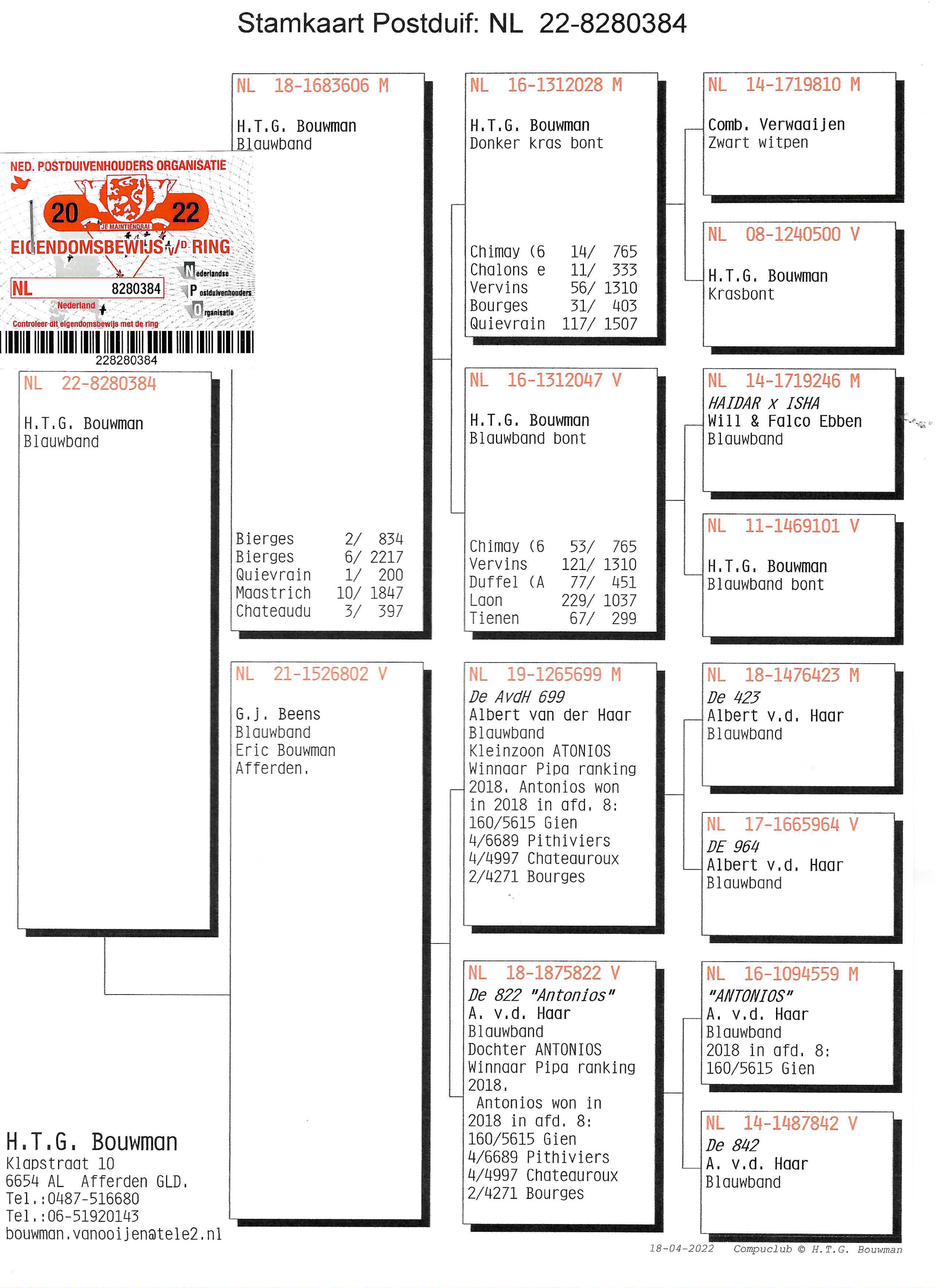 Pigeon pedigree image