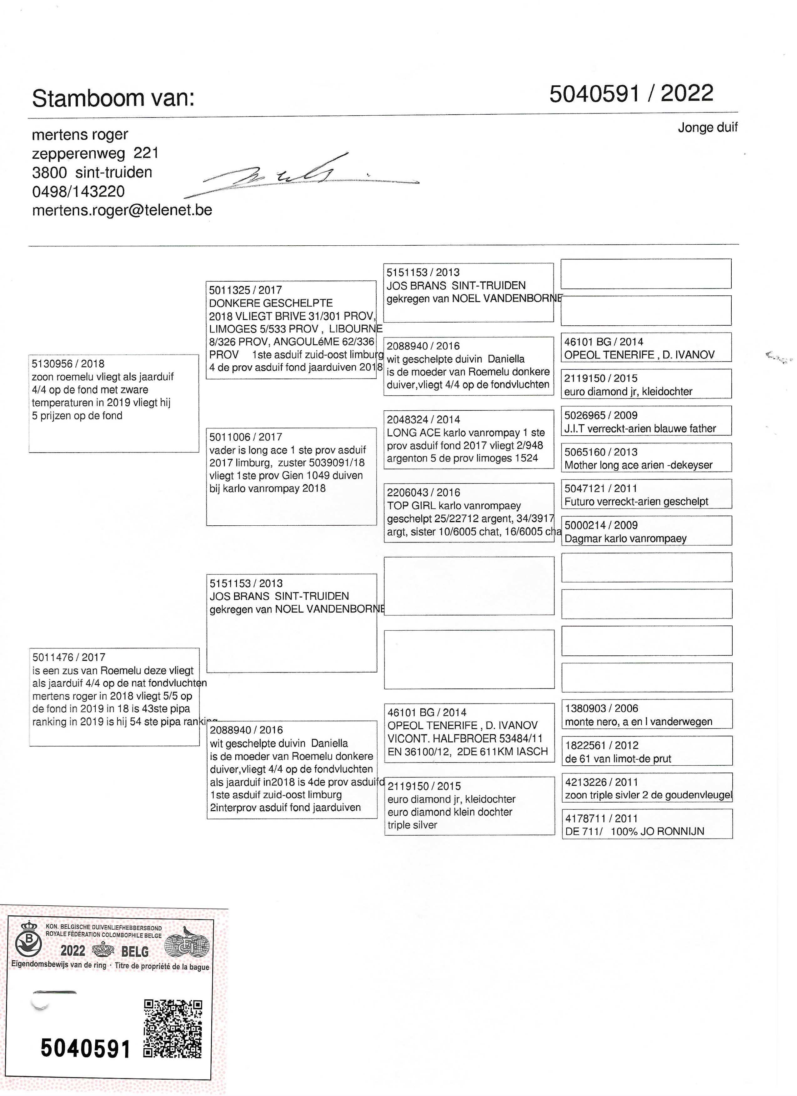 Pigeon pedigree image