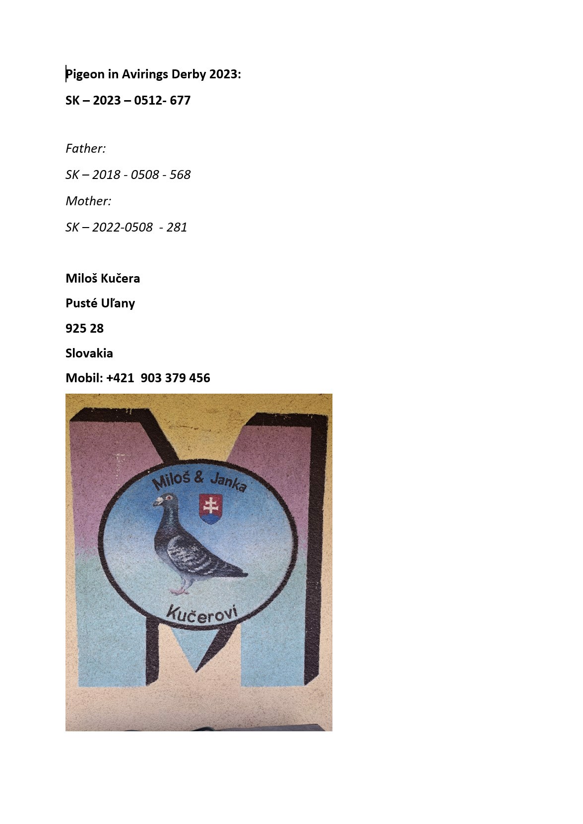 Pigeon pedigree image