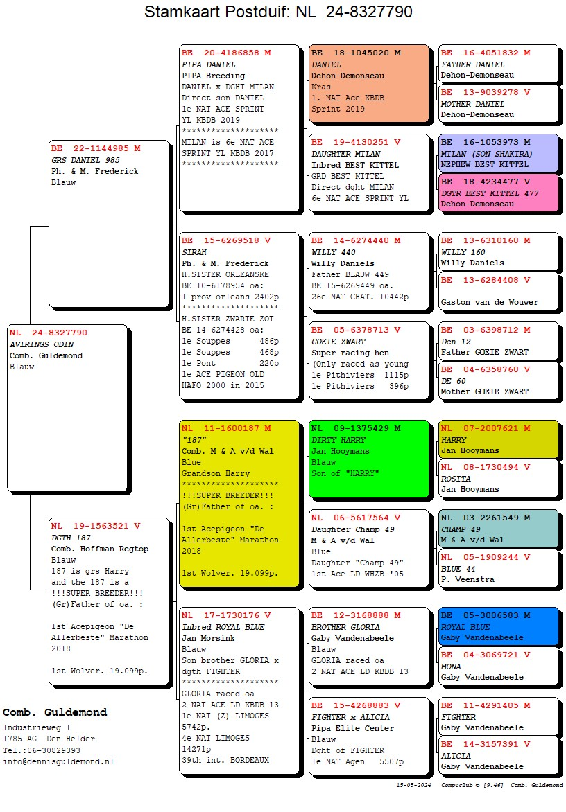 Pigeon pedigree image