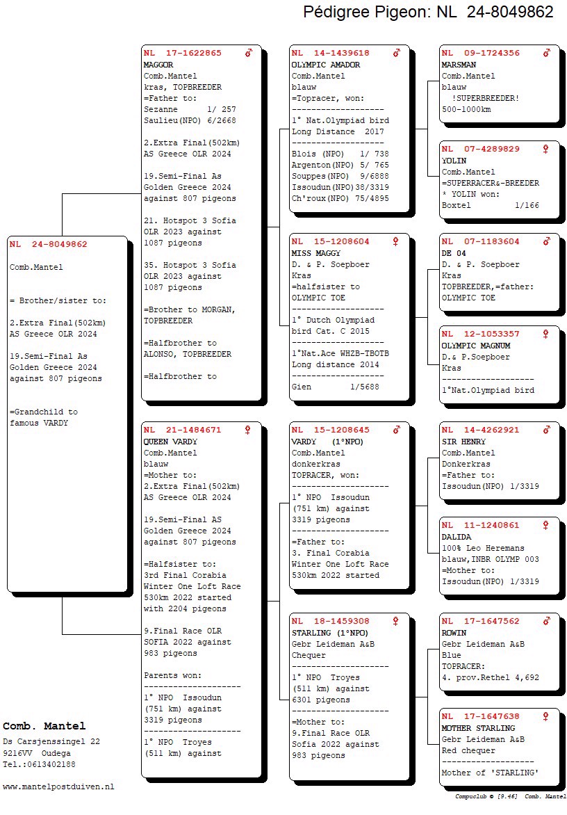 Pigeon pedigree image