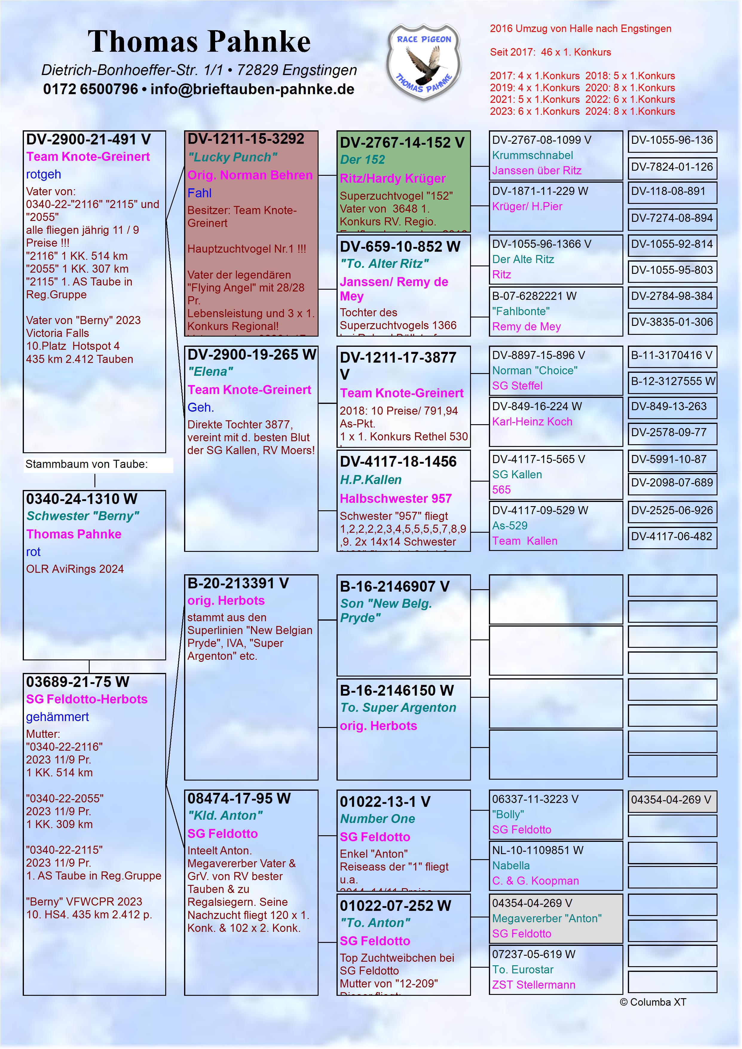 Pigeon pedigree image