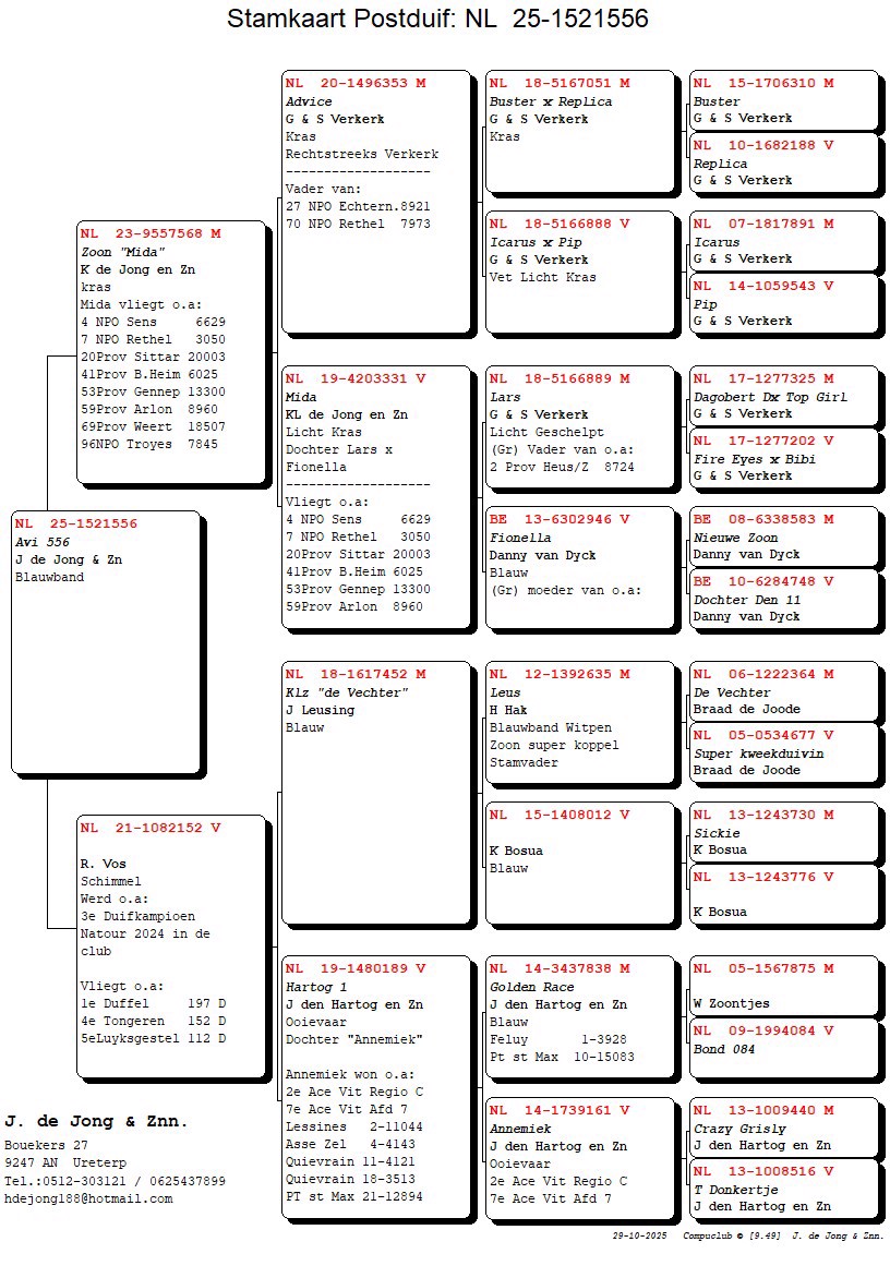 Pigeon pedigree image