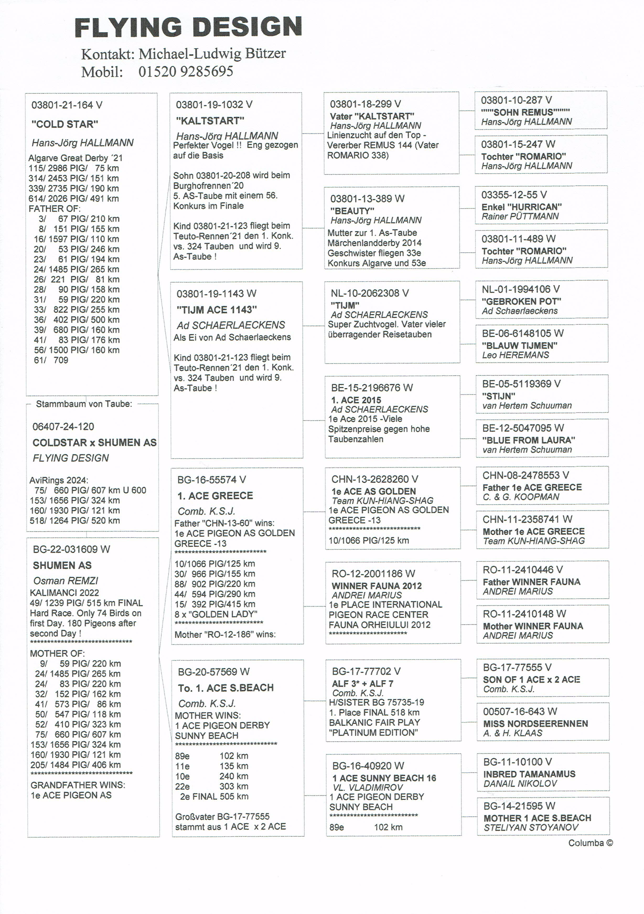 Pigeon pedigree image